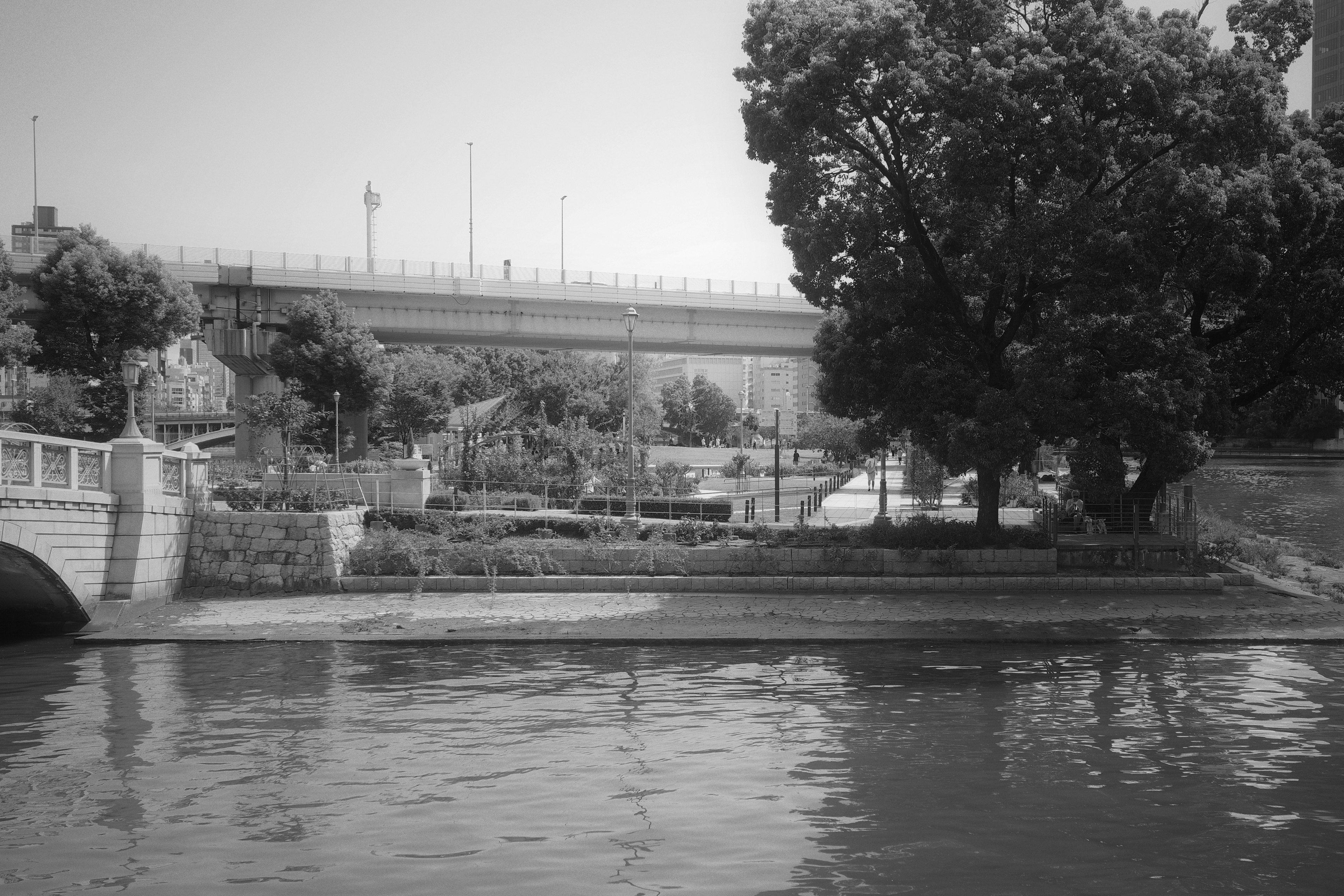 Black and white photo of a riverside park with trees