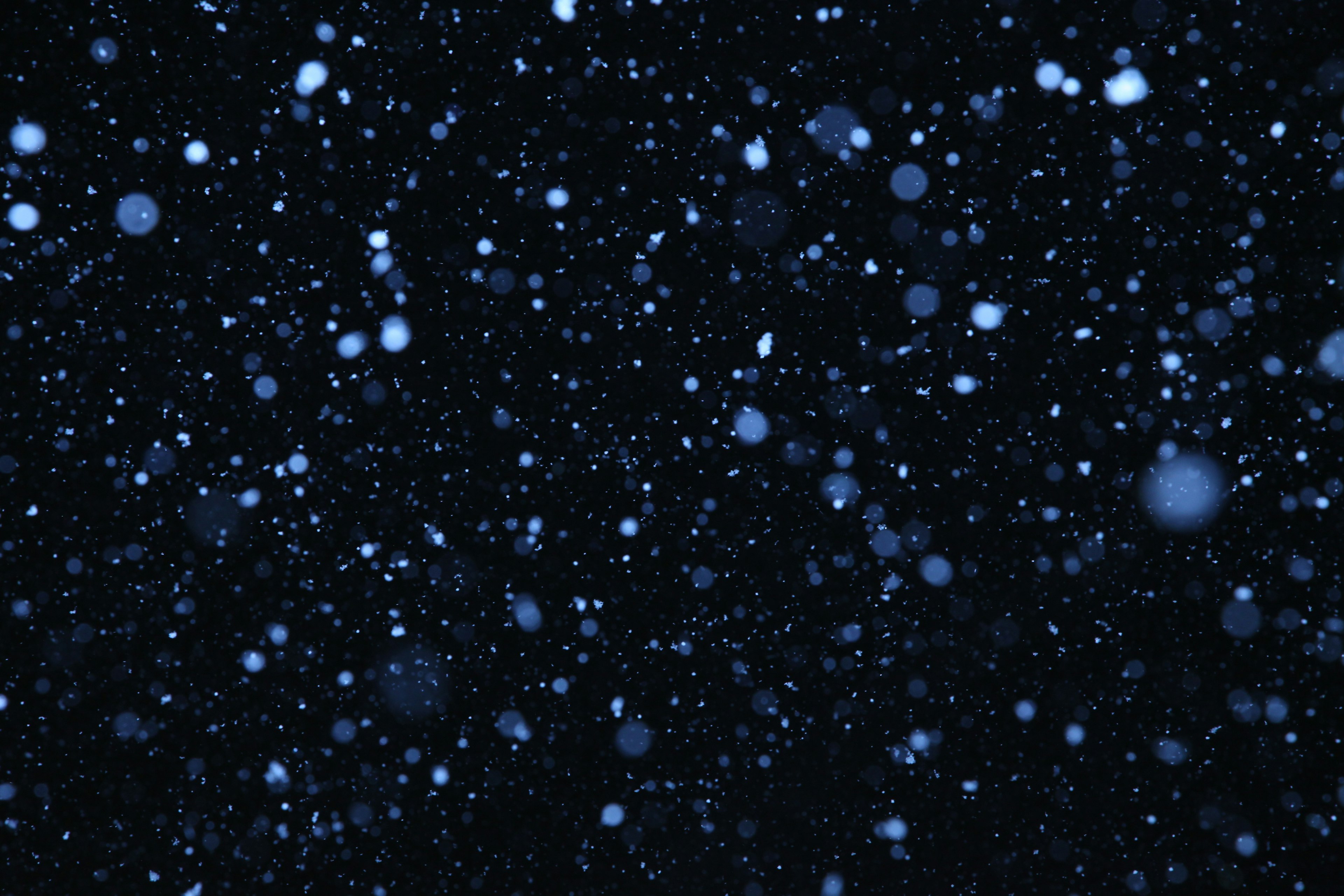 Blue snowflakes falling against a dark background