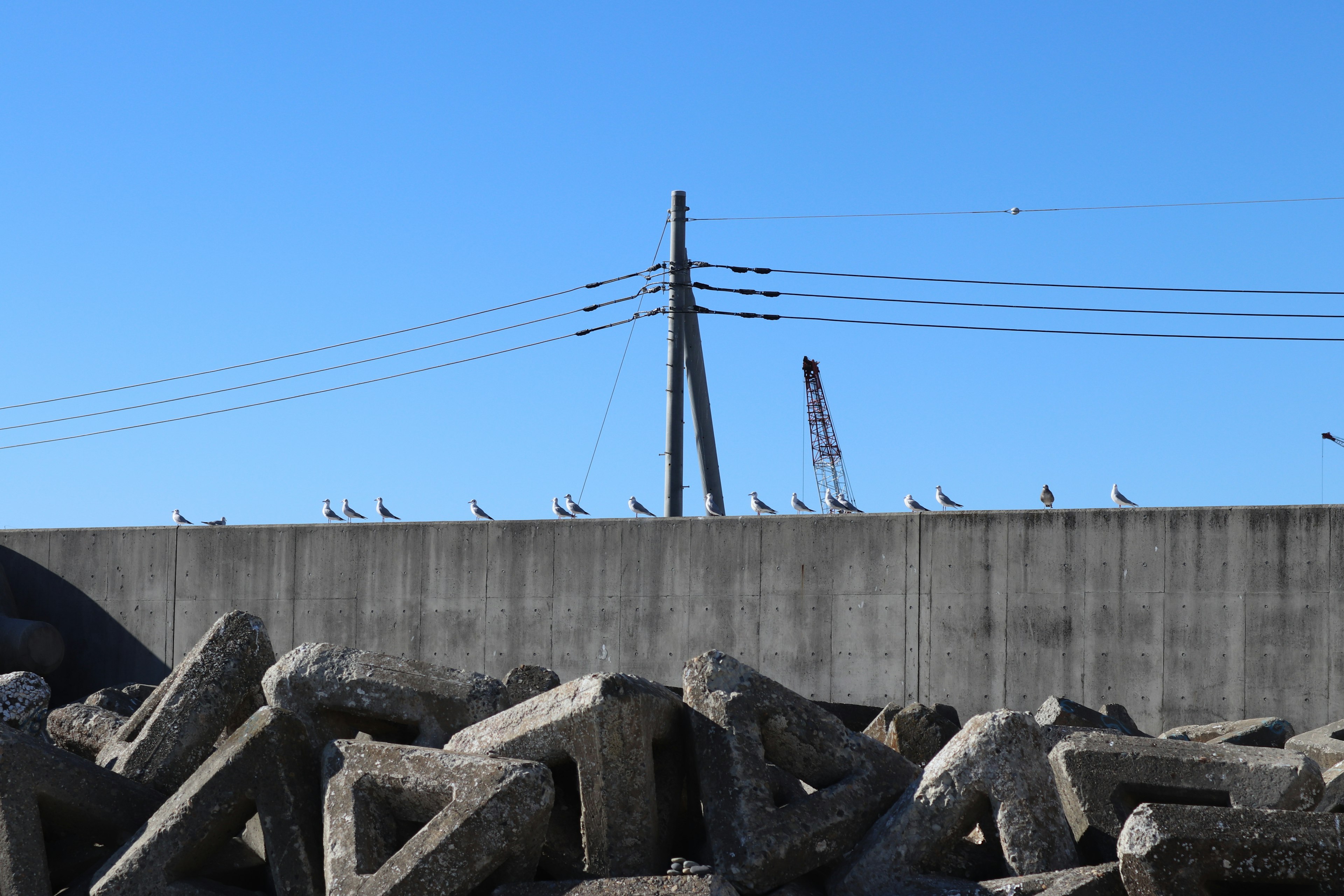 Blocs de béton au premier plan avec un poteau électrique et des oiseaux perchés sur un mur sous un ciel bleu clair