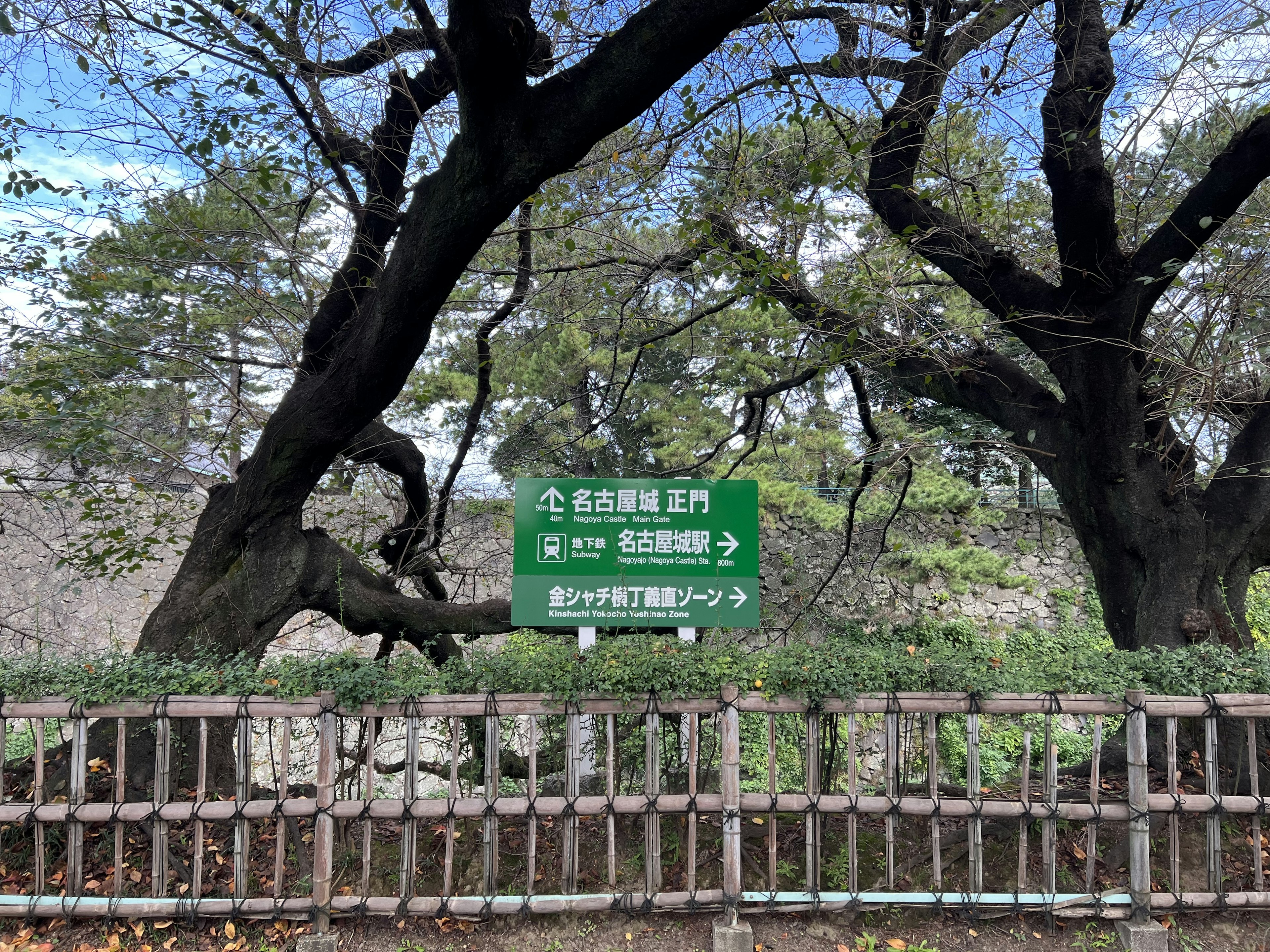 Park scene with green sign old trees and blue sky