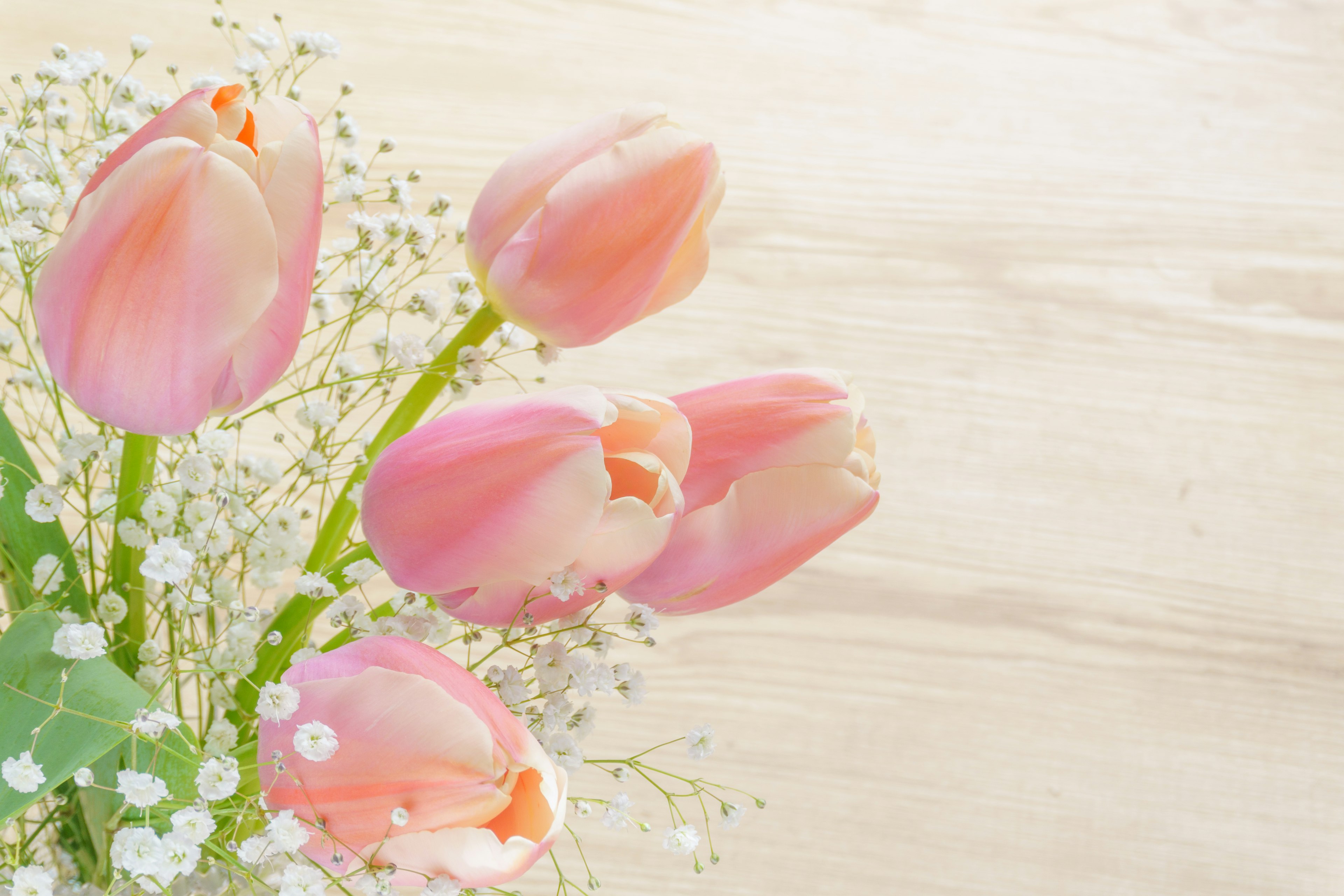 A bouquet of pink tulips and baby breath flowers on a wooden background