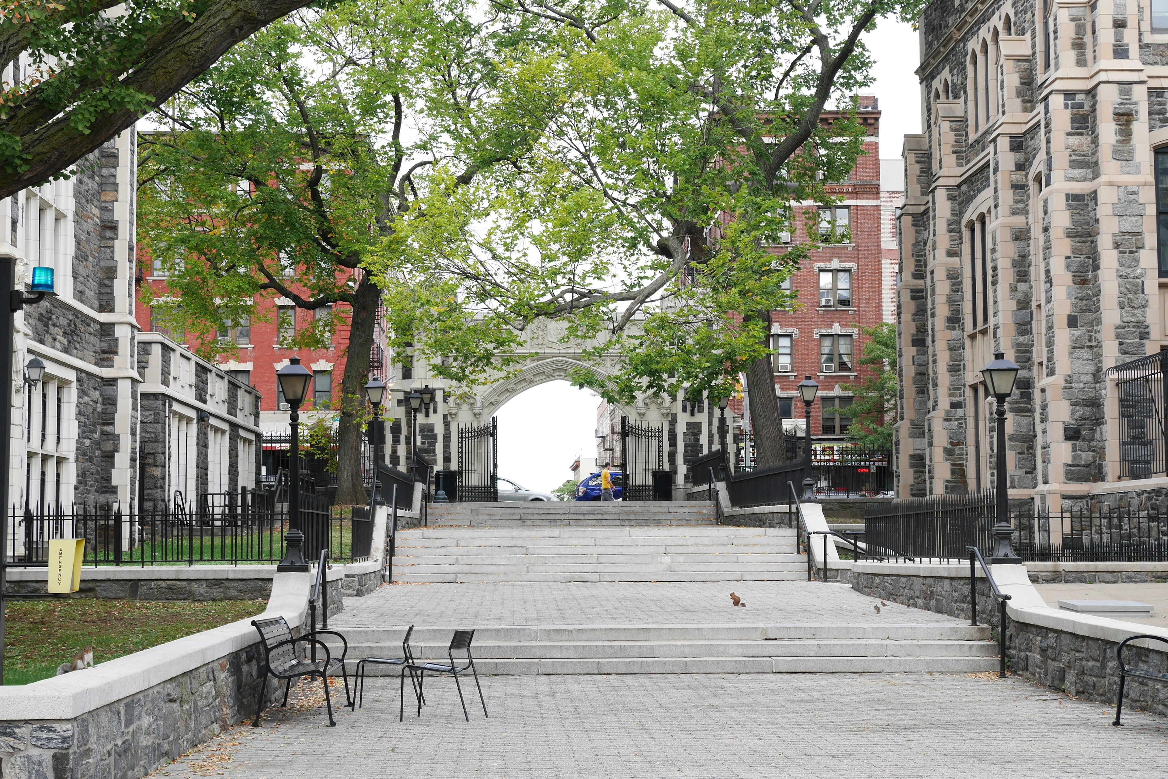 A tree-lined pathway leading to a stone archway framed by historic buildings