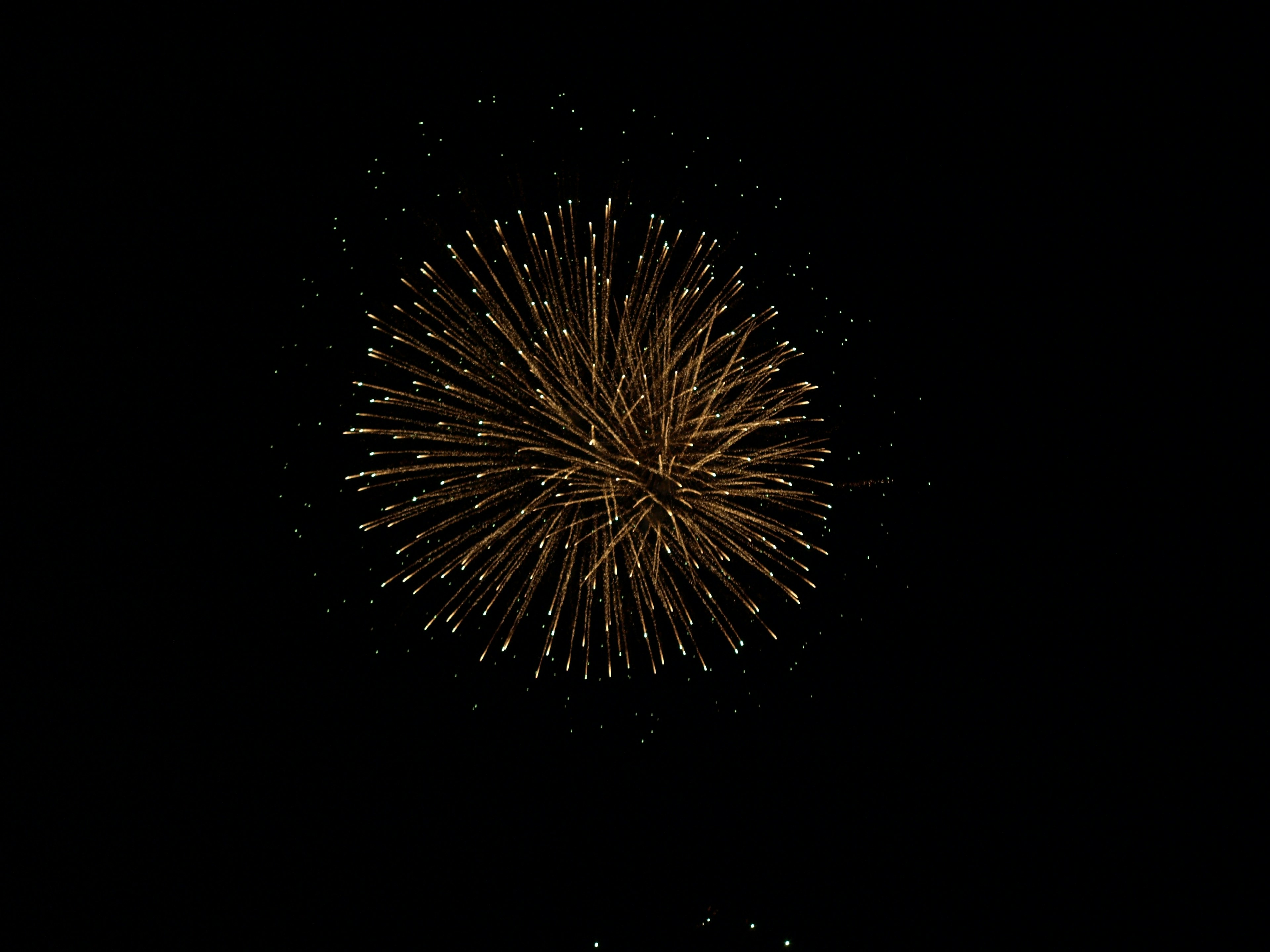 Golden fireworks bursting against a black background