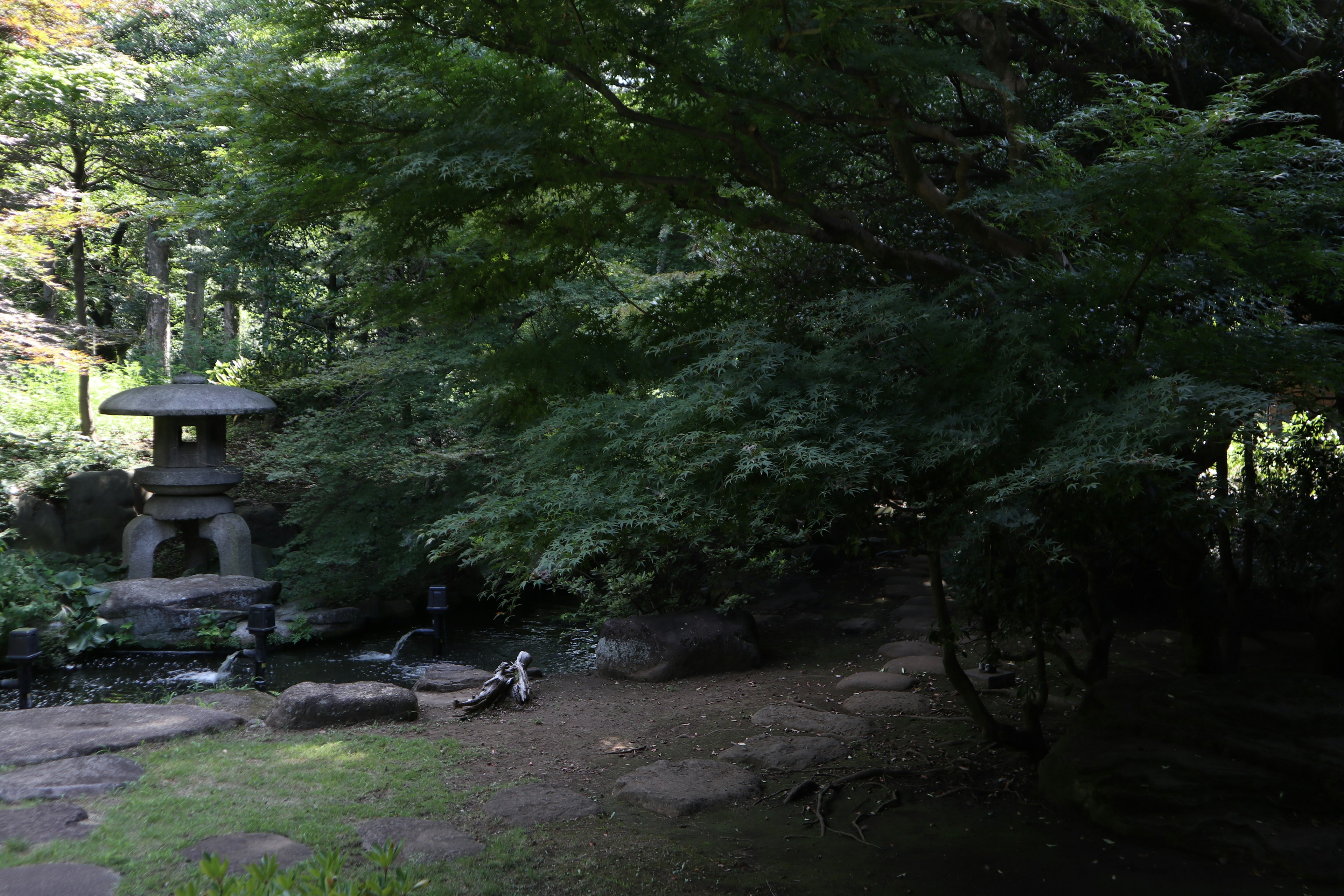 Escena serena de jardín japonés con una linterna de piedra y vegetación exuberante