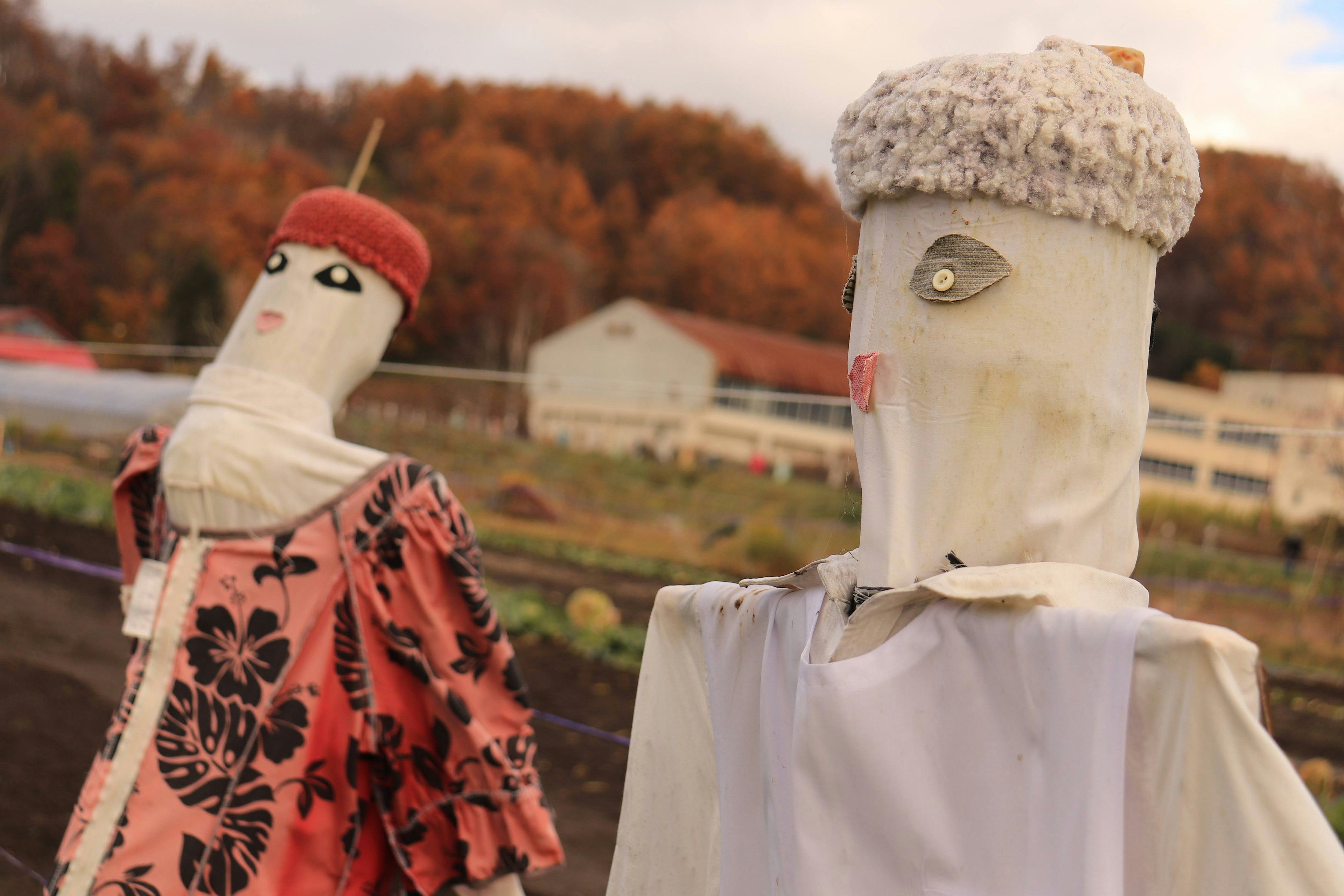 Two unique scarecrows standing in a field One has a red hat and floral outfit The other wears a white outfit and hat