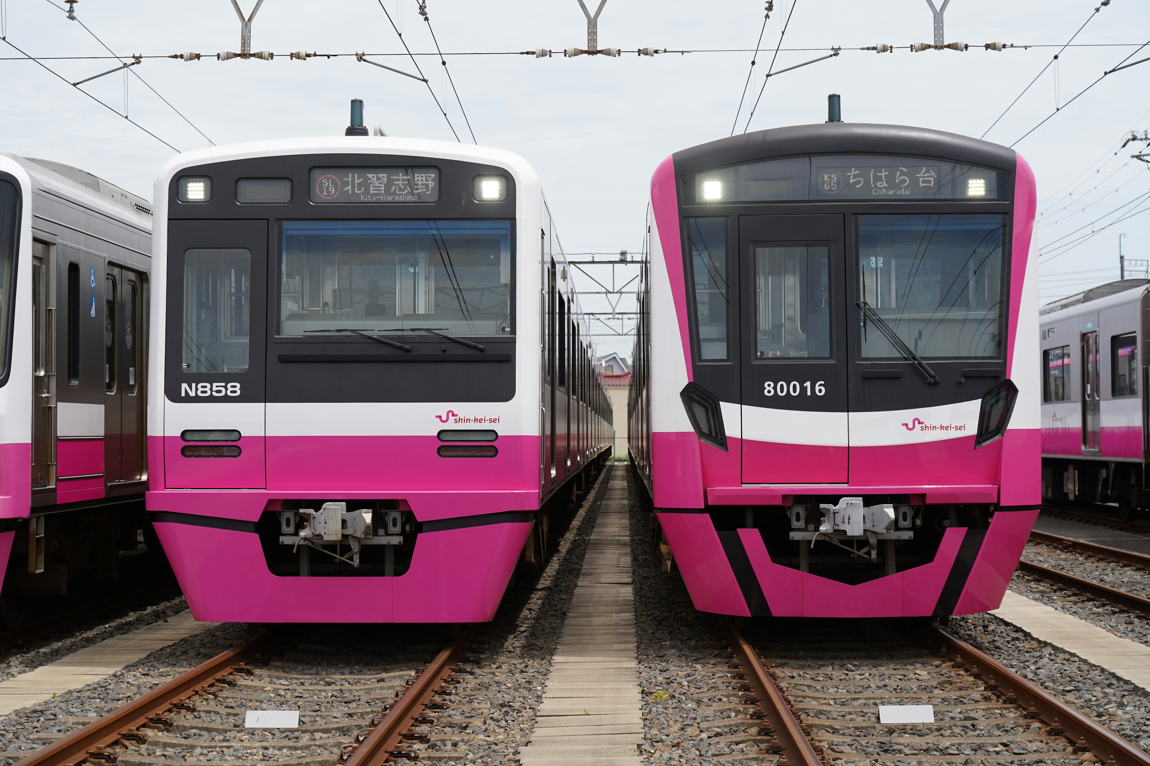 二つのピンクの電車が並んでいる風景