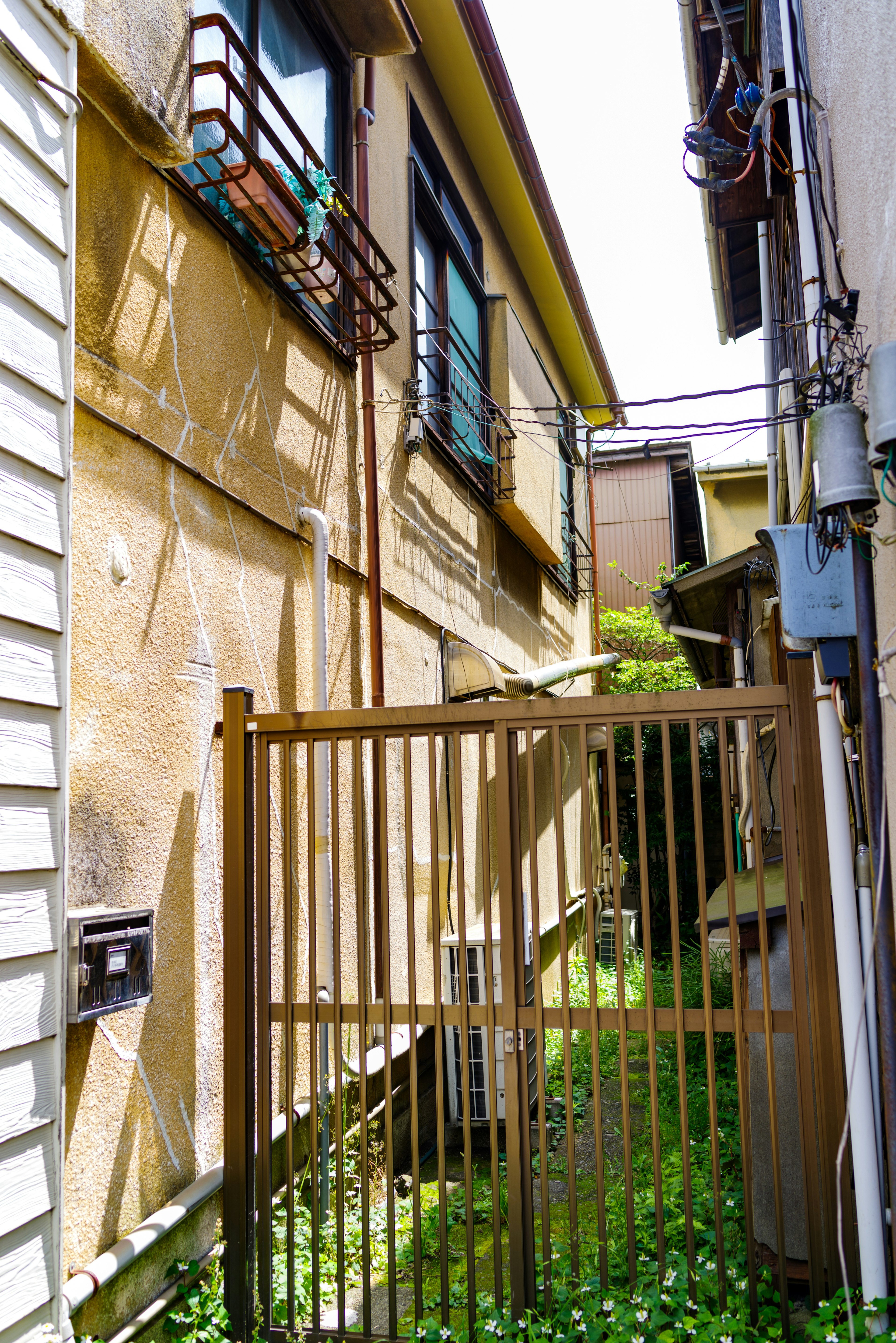 Schmale Gasse mit einem alten Haus und einem Metalltor umgeben von Grünpflanzen