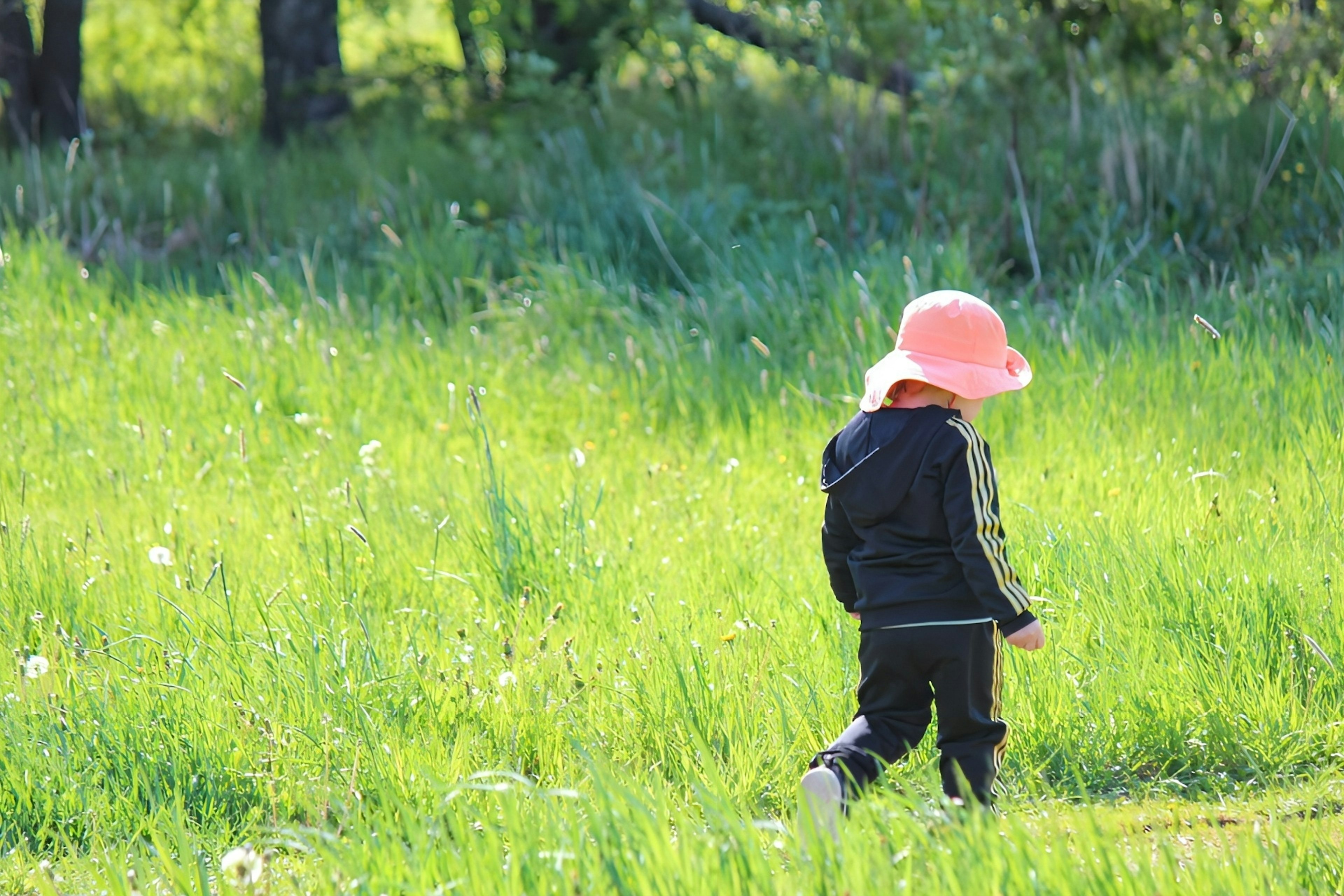 Child walking in a green meadow wearing an orange hat