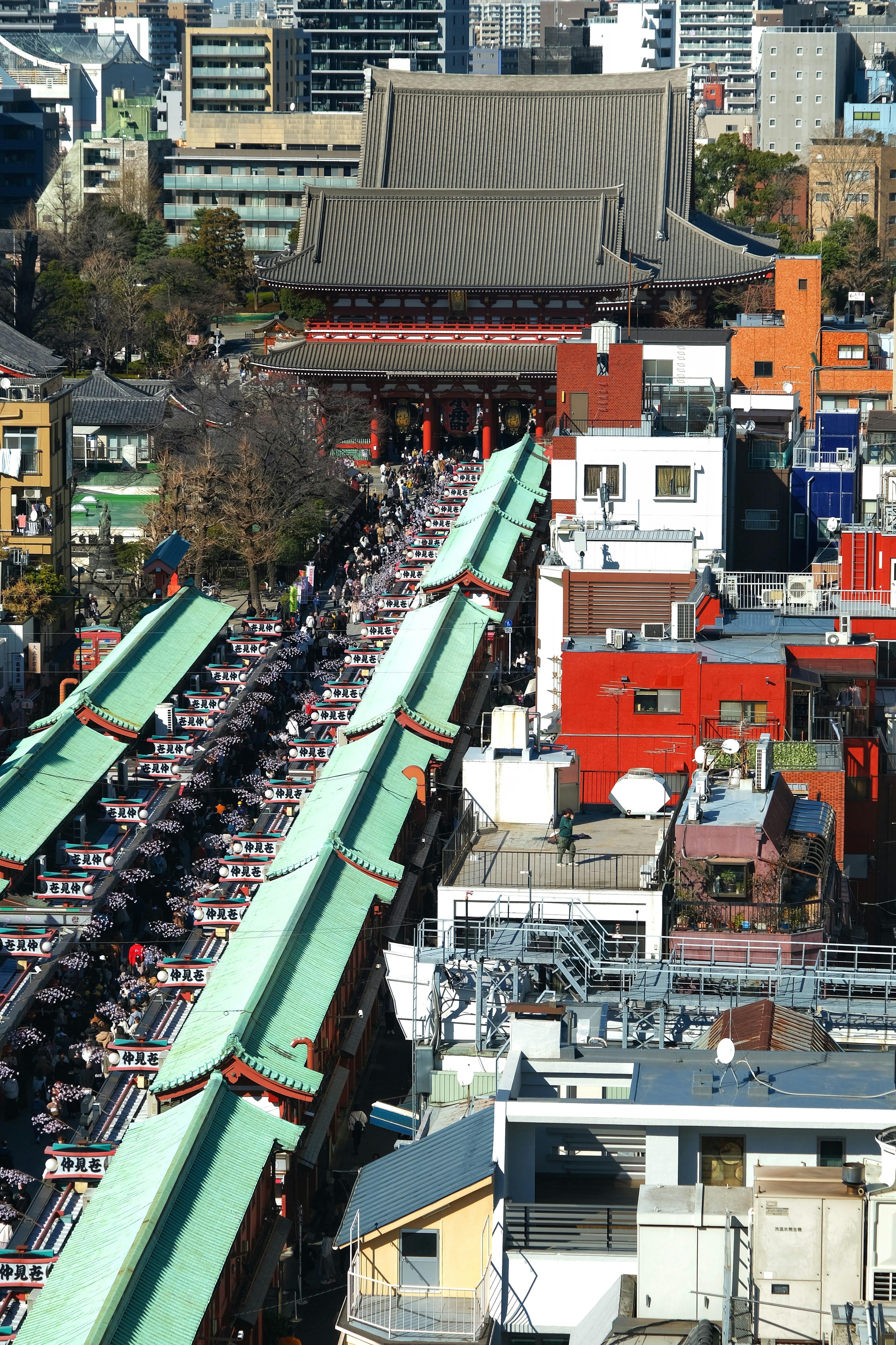 Vista aerea della via dello shopping Ameyoko con tetti verdi e un tempio sullo sfondo