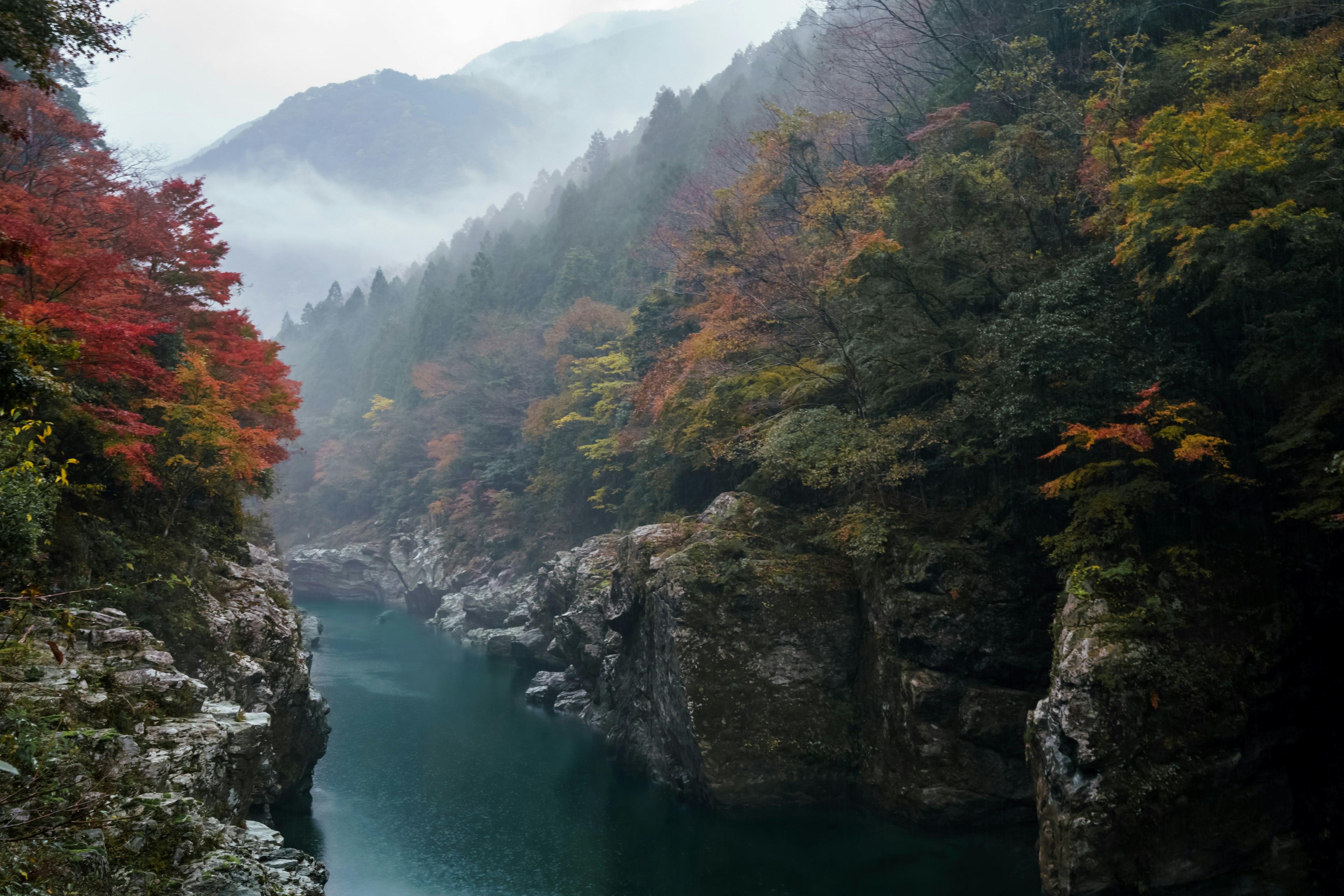 川と紅葉した木々の風景霧に包まれた山々