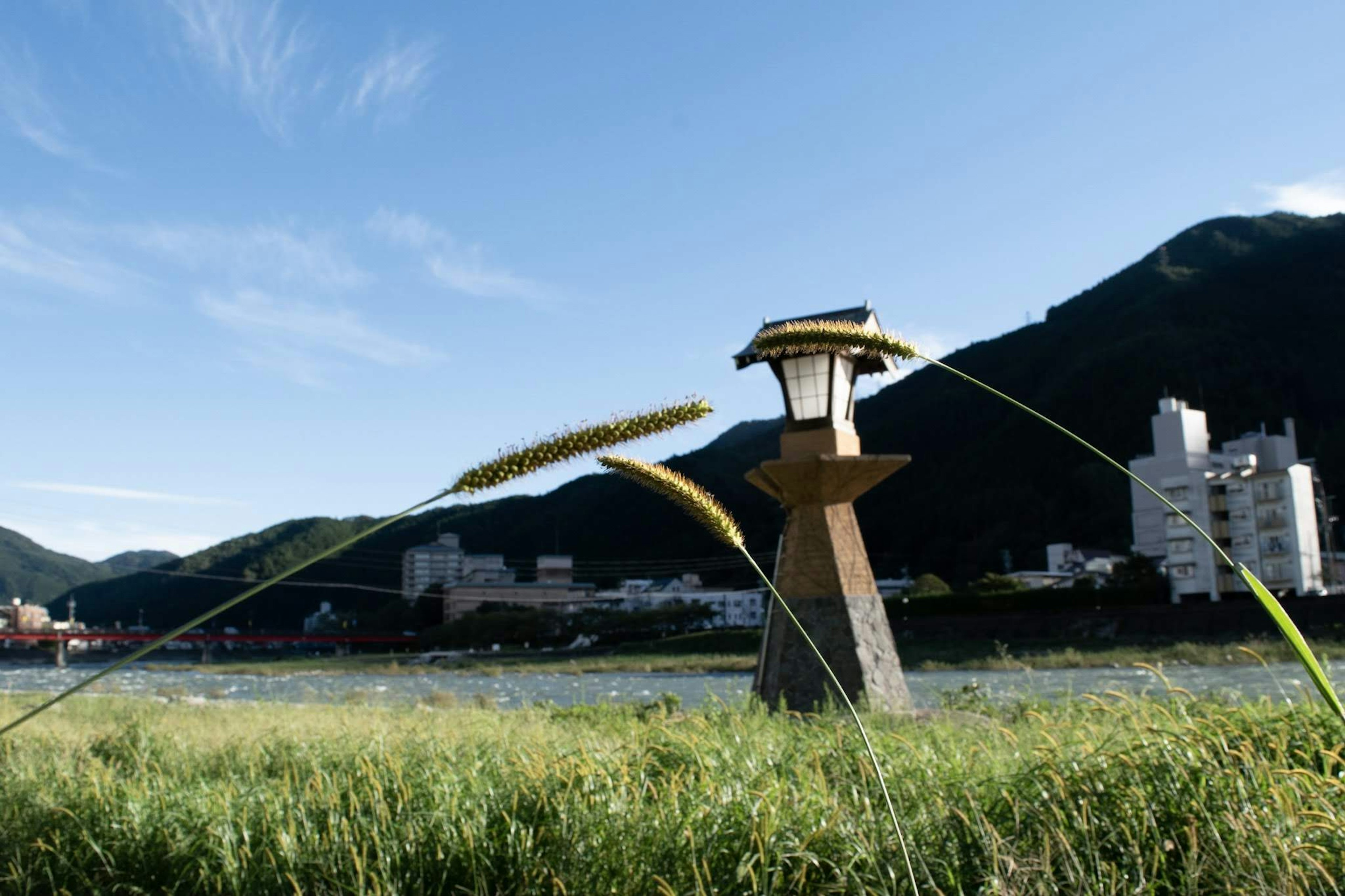 Phare unique se tenant au bord d'une rivière avec un paysage naturel environnant