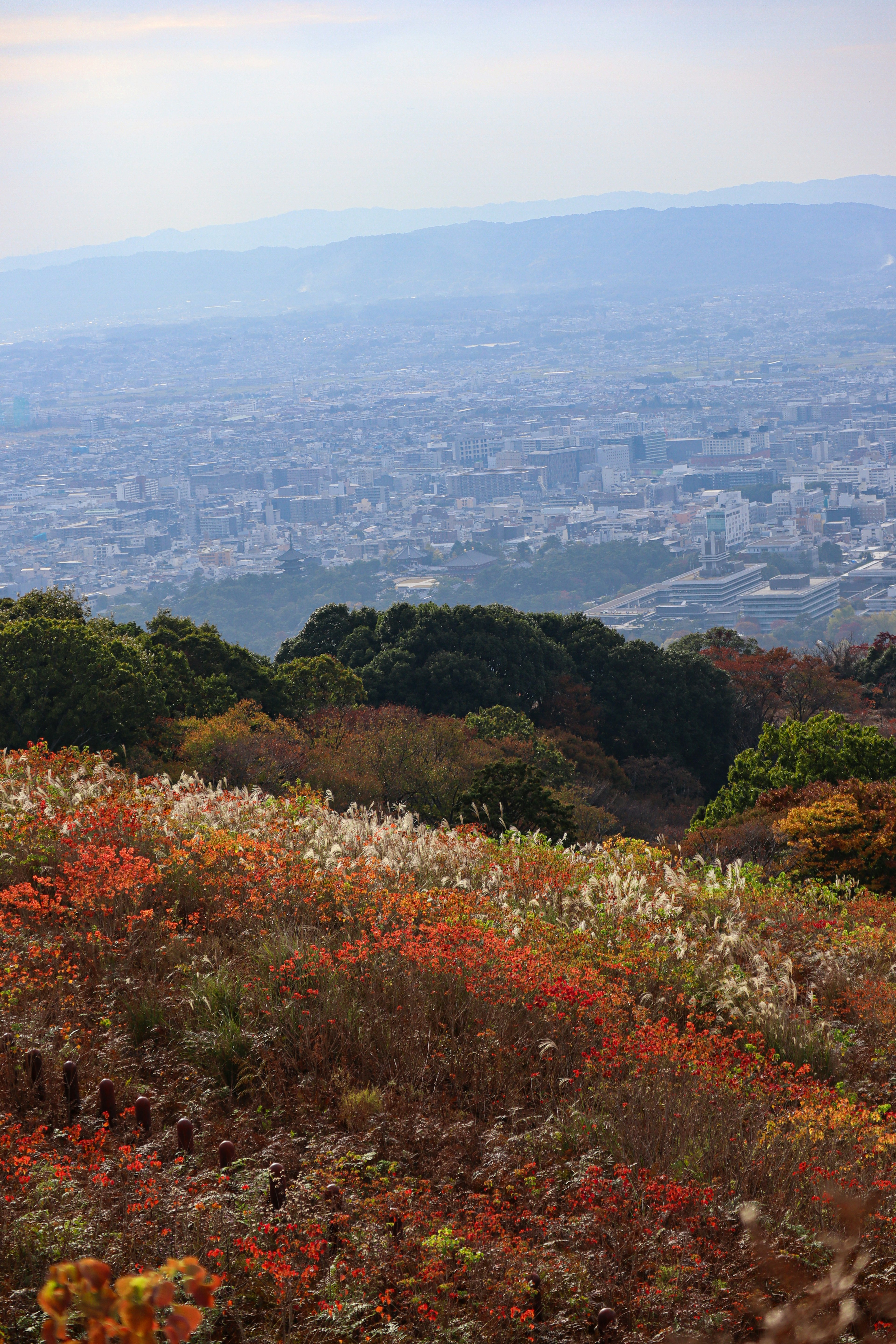 秋の色とりどりの草原と都市の眺め