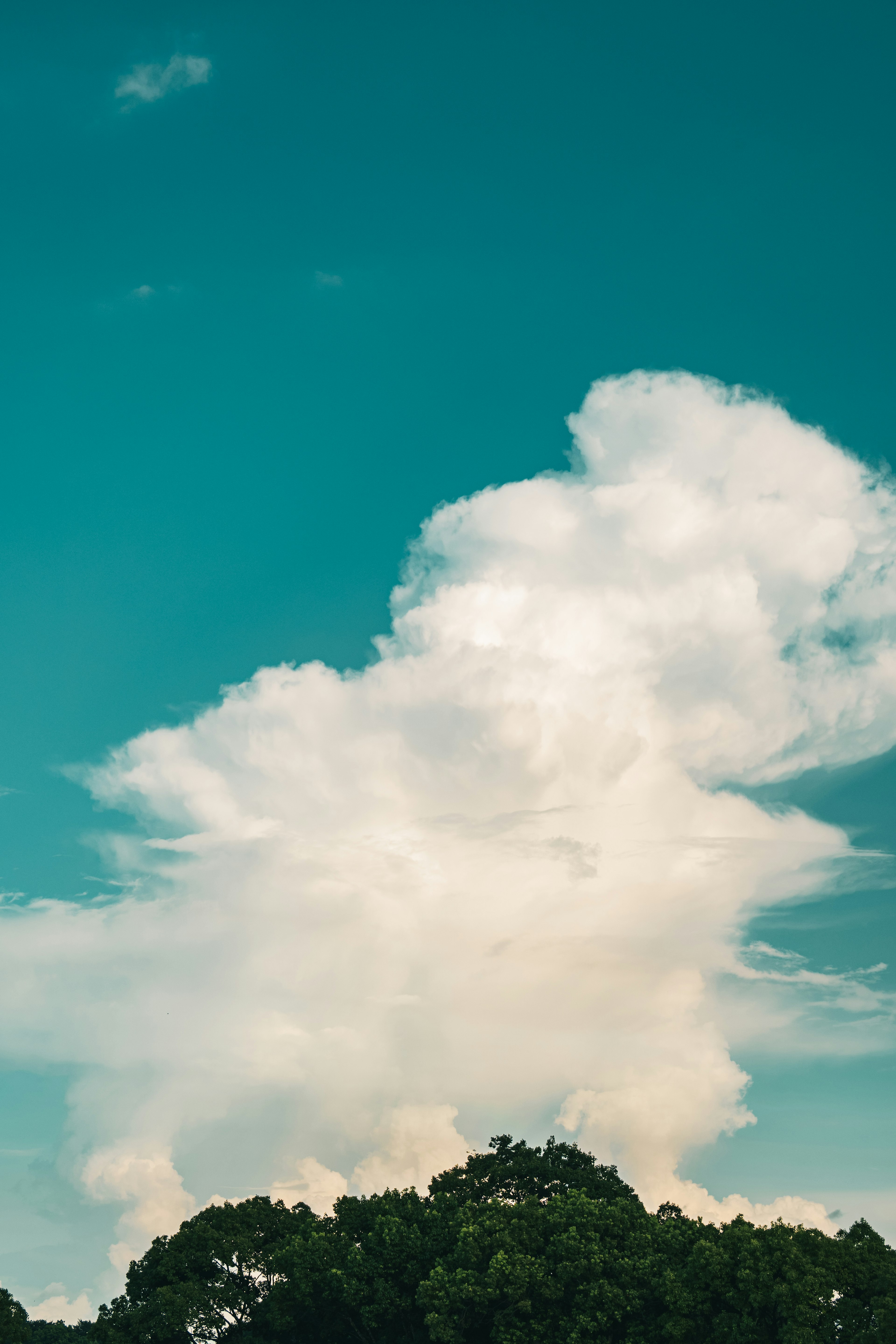 Große weiße Wolke vor blauem Himmel mit Silhouetten grüner Bäume