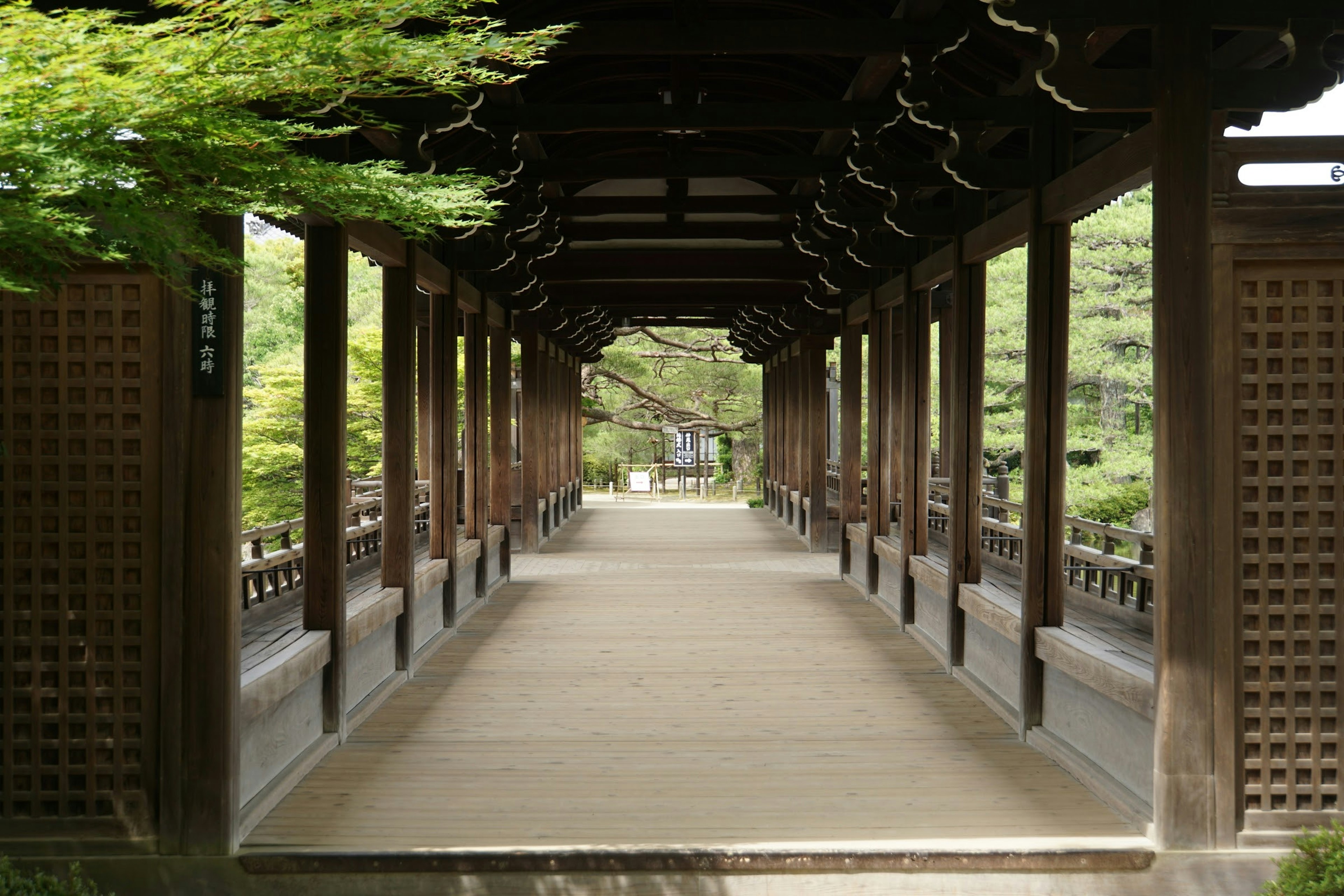 주변의 녹음과 함께 고요한 나무 복도