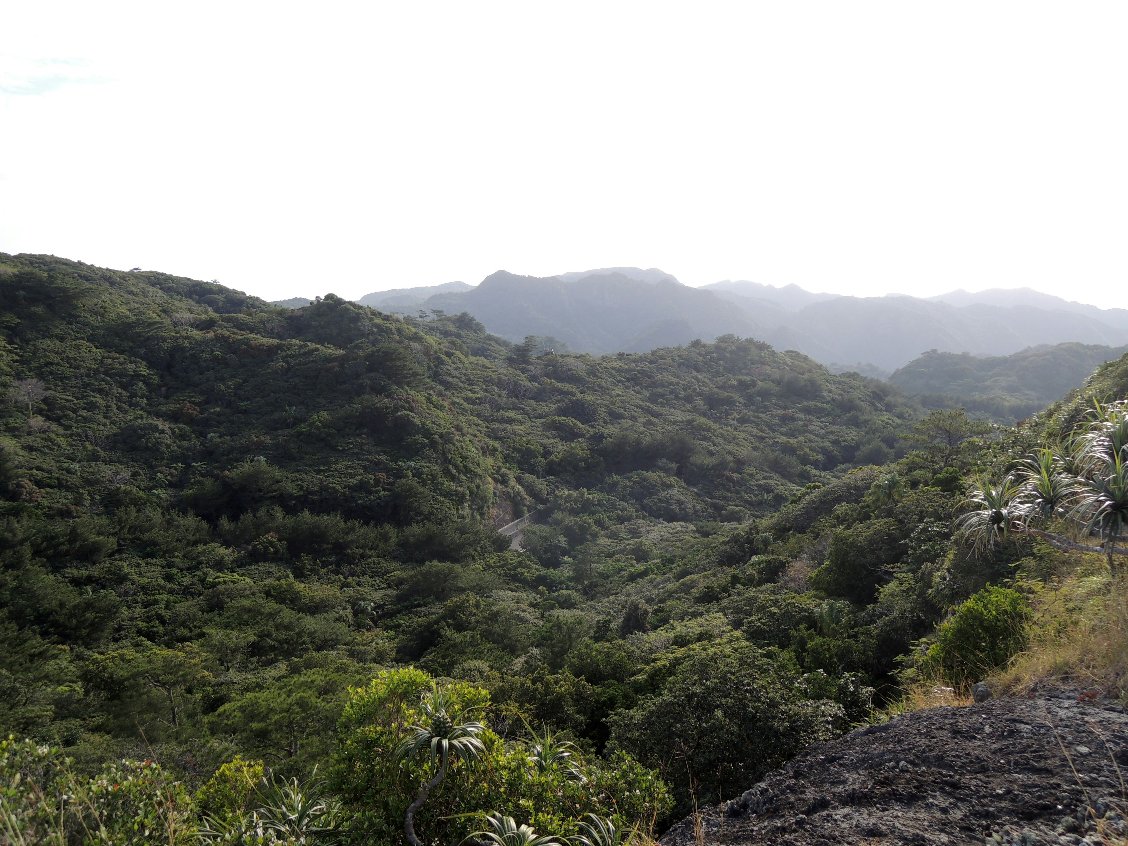 Lush green mountains and valleys stretching across the landscape