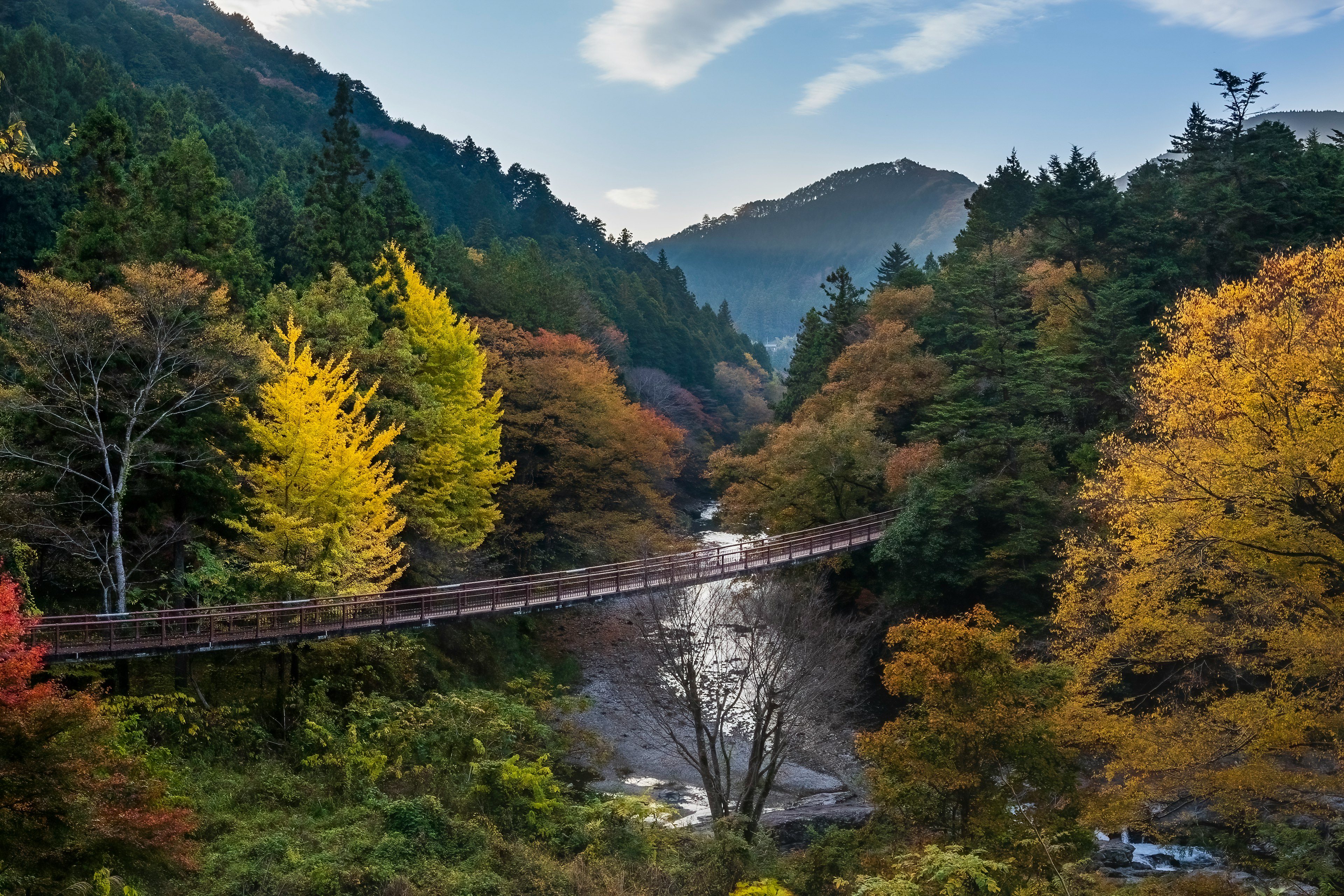 Vista escénica de un puente colgante sobre un río rodeado de follaje de otoño