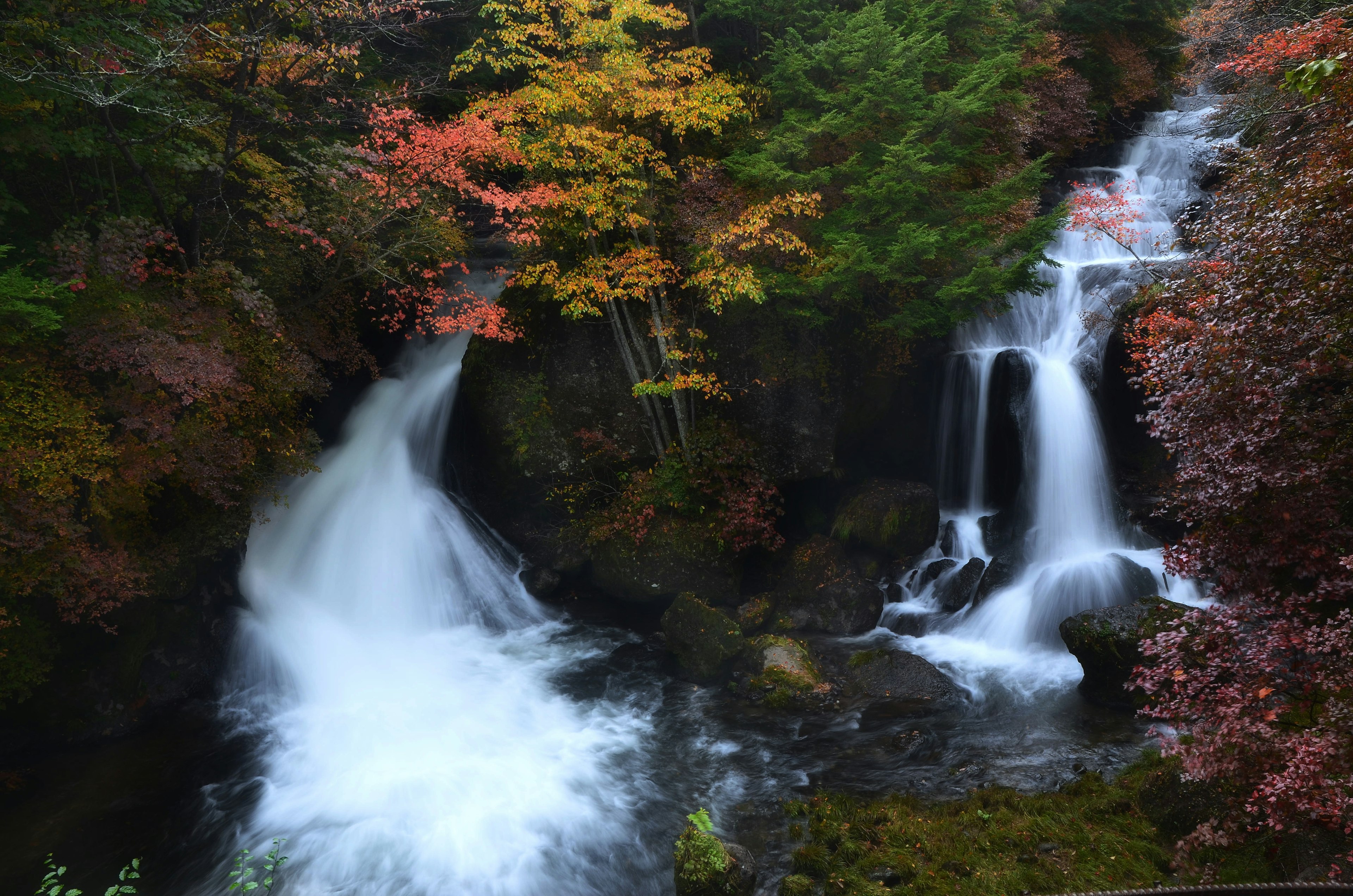 美しい紅葉が映える滝の風景で流れる水と緑の木々