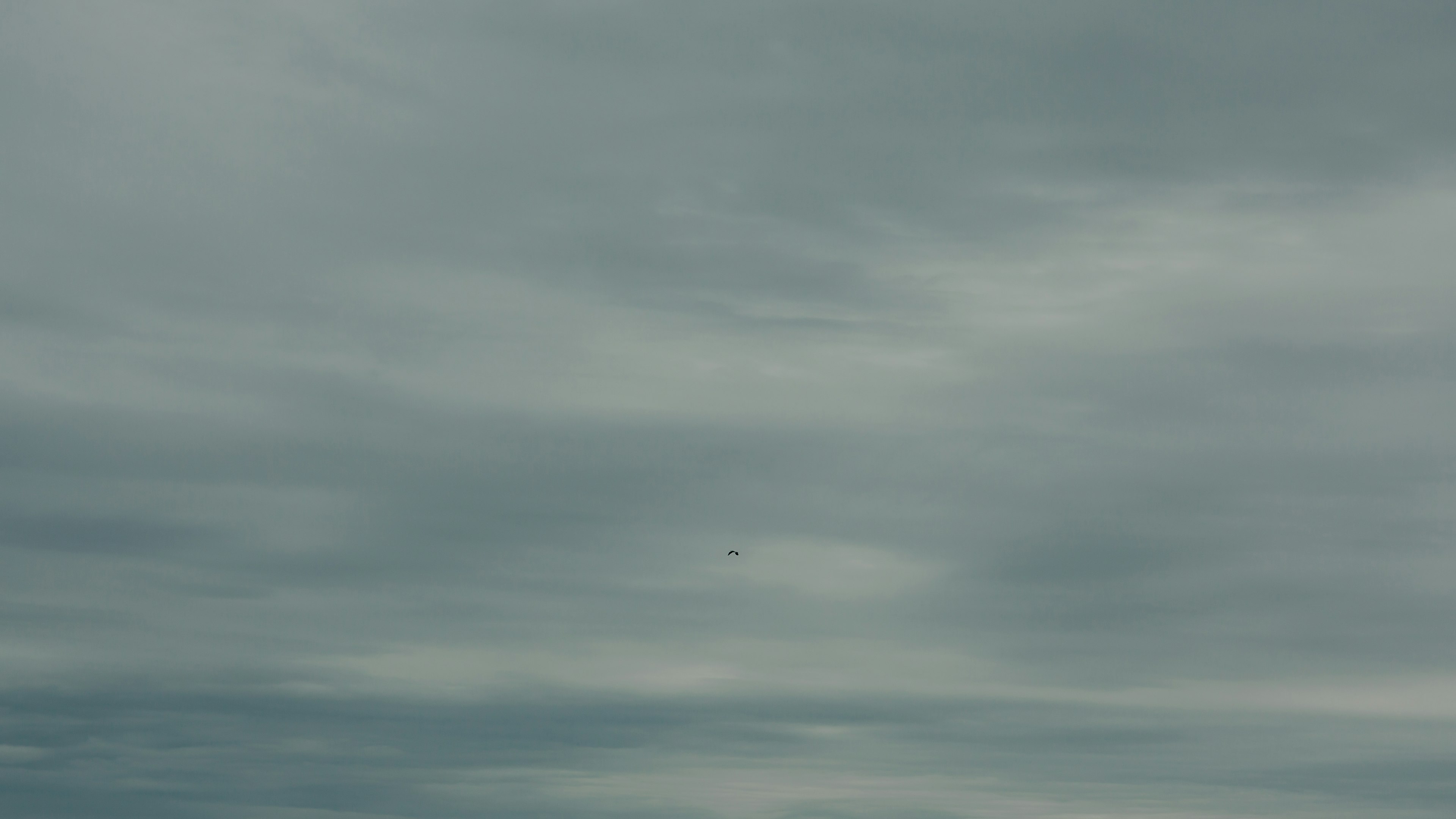 Calm blue sky with soft clouds