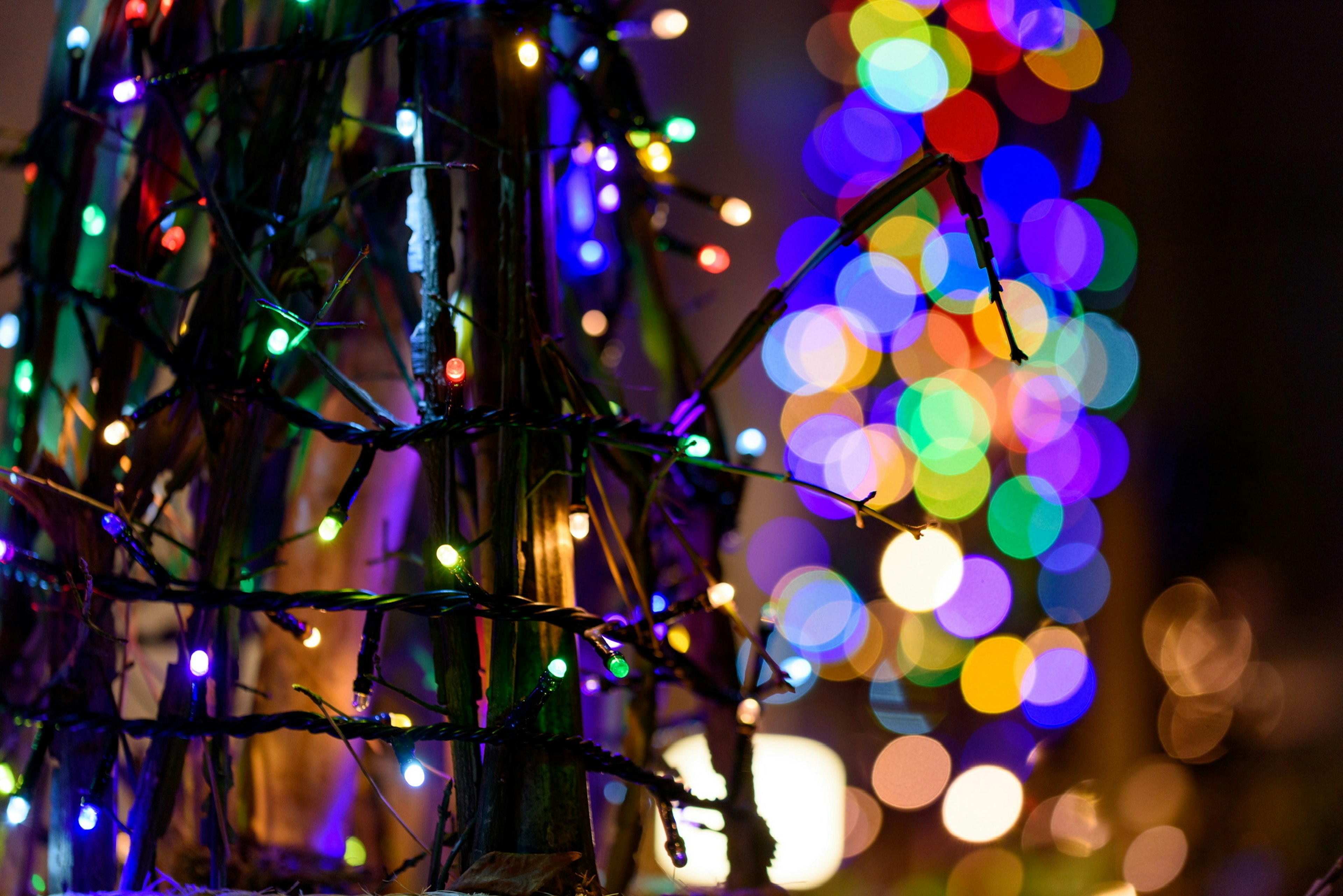 Close-up of colorful Christmas lights on branches with a blurred background of bokeh lights