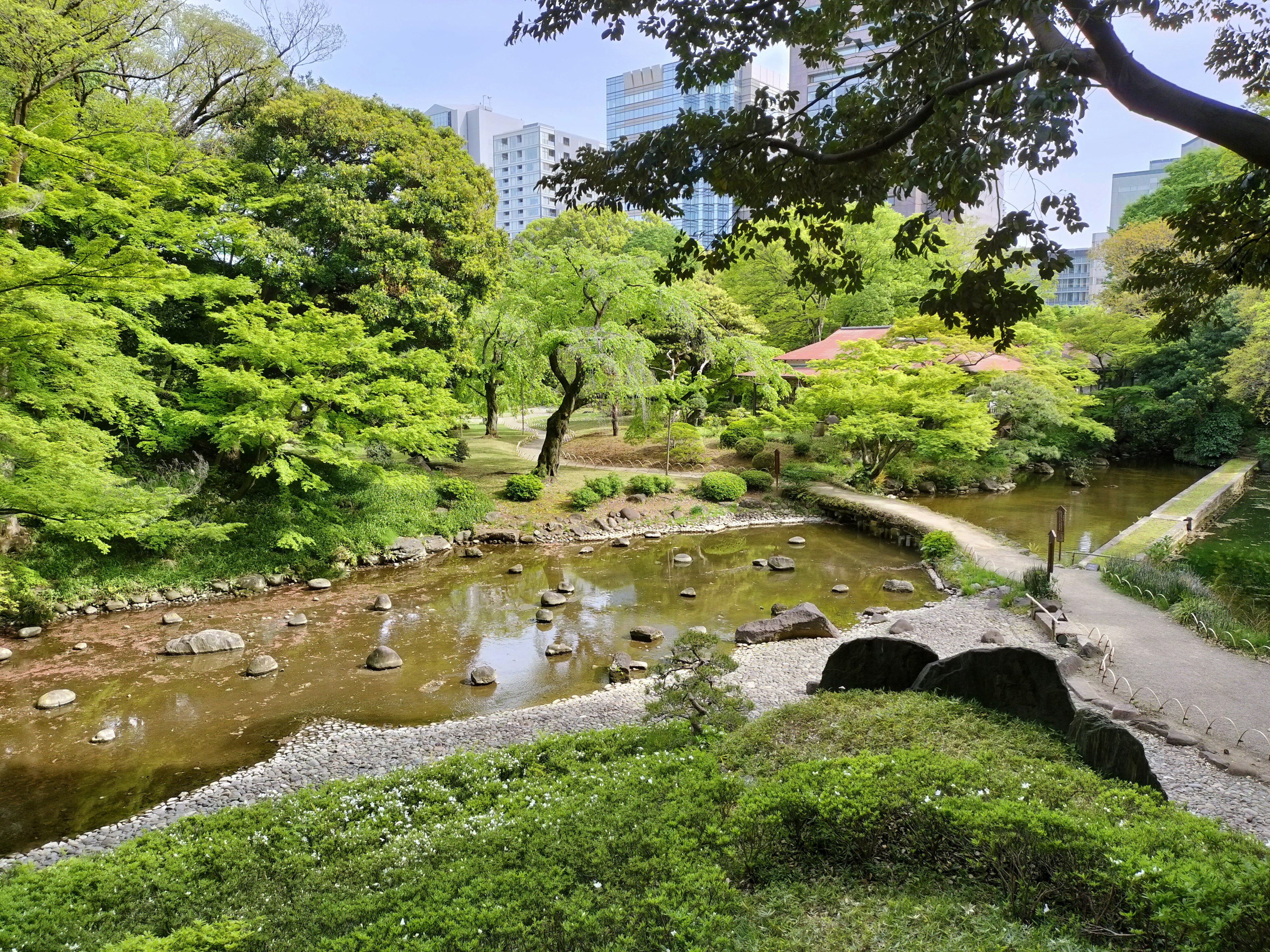 Lush park scenery featuring a stream and skyscrapers in the background