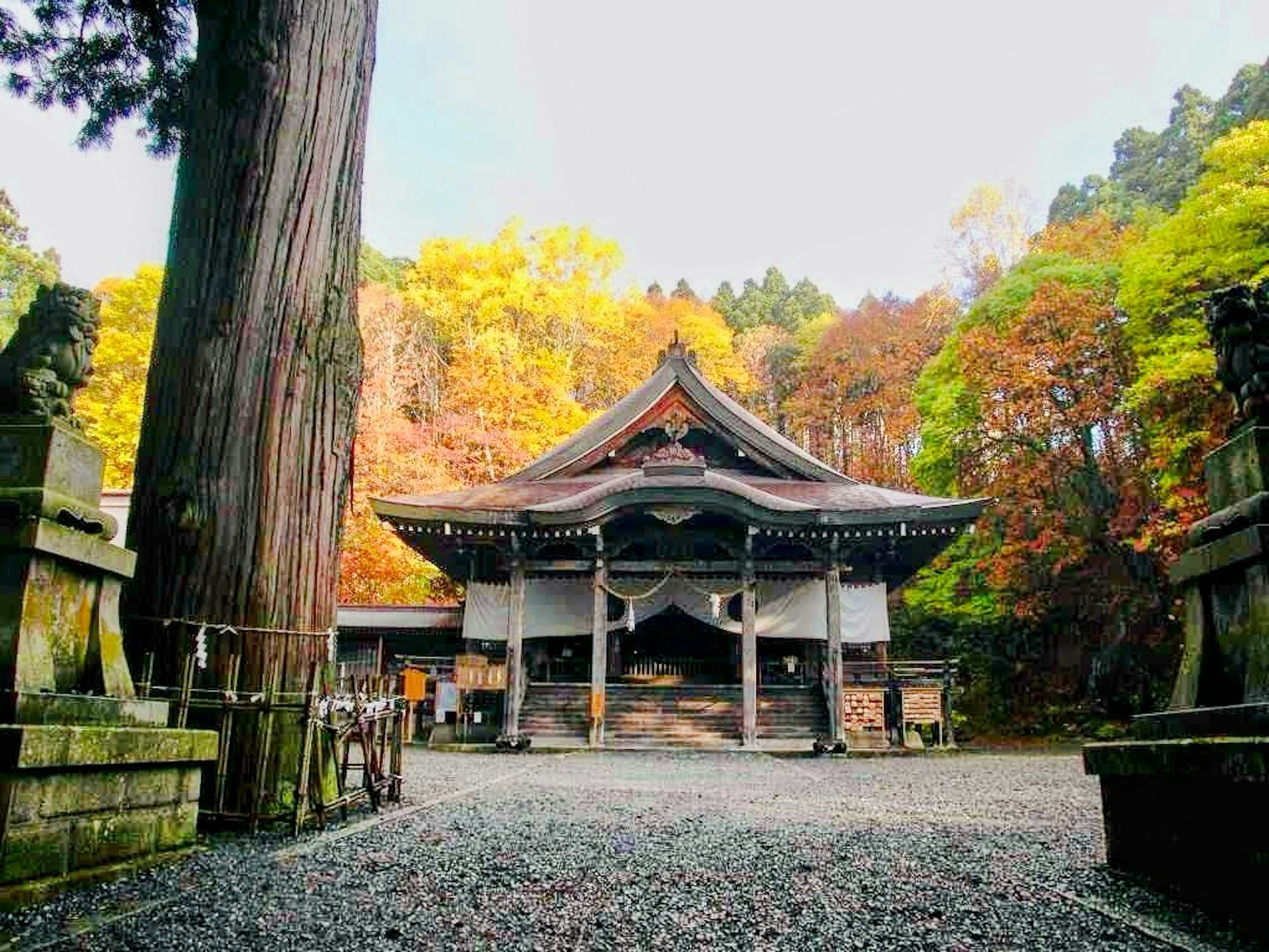 Traditioneller japanischer Tempel umgeben von wunderschönem Herbstlaub