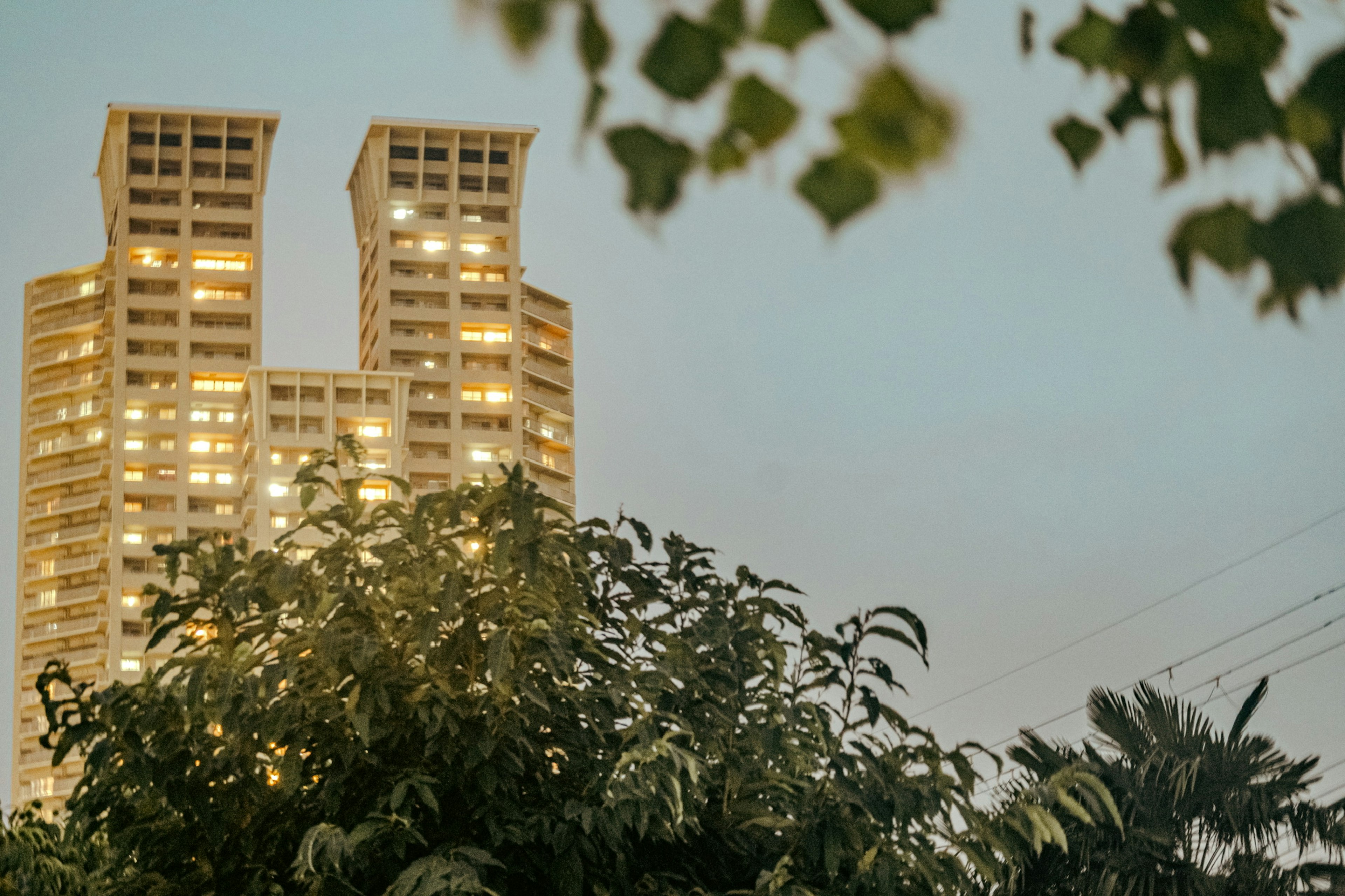 Tall building illuminated at night surrounded by greenery