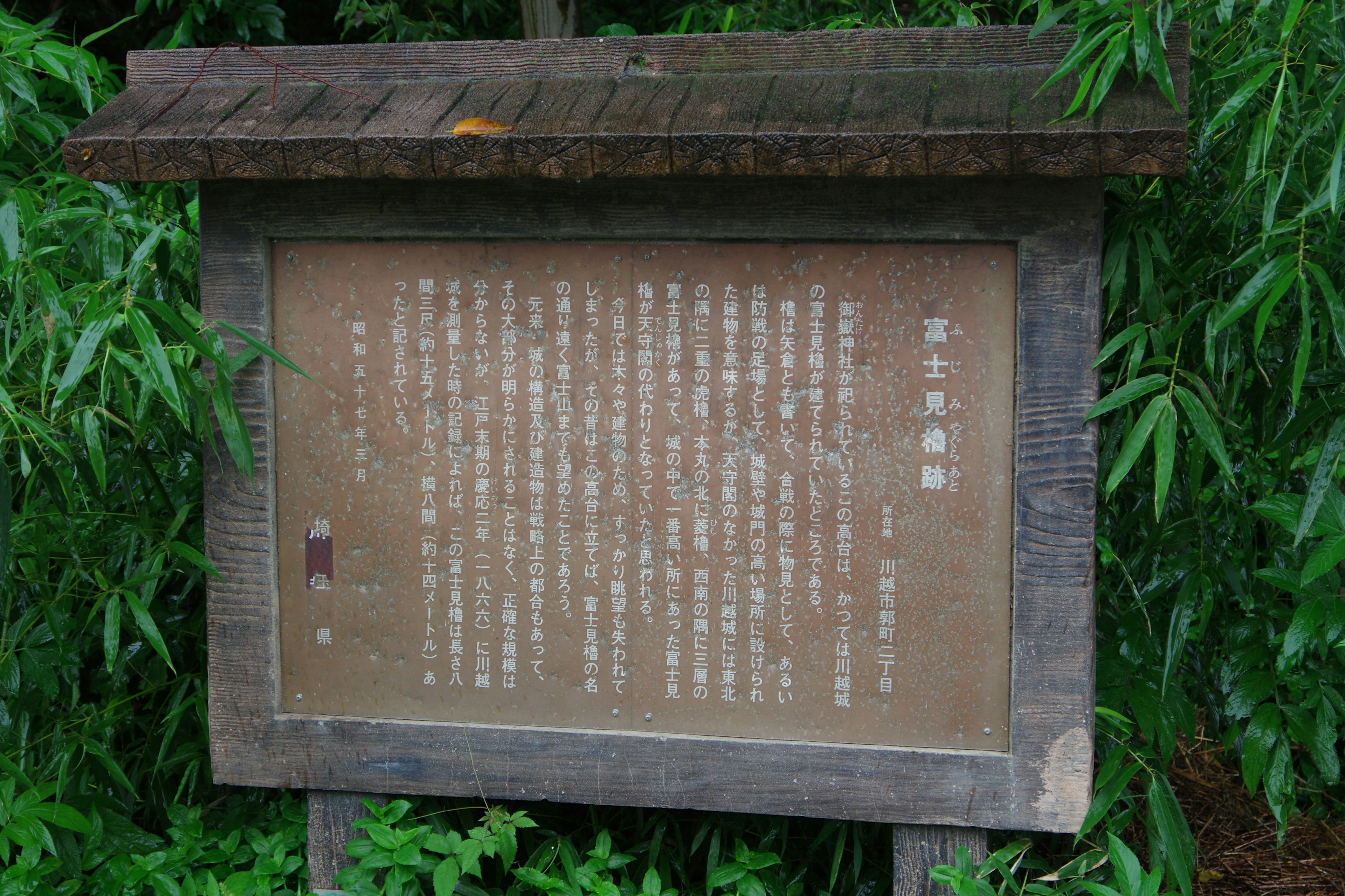 Wooden sign with Japanese text surrounded by lush green foliage