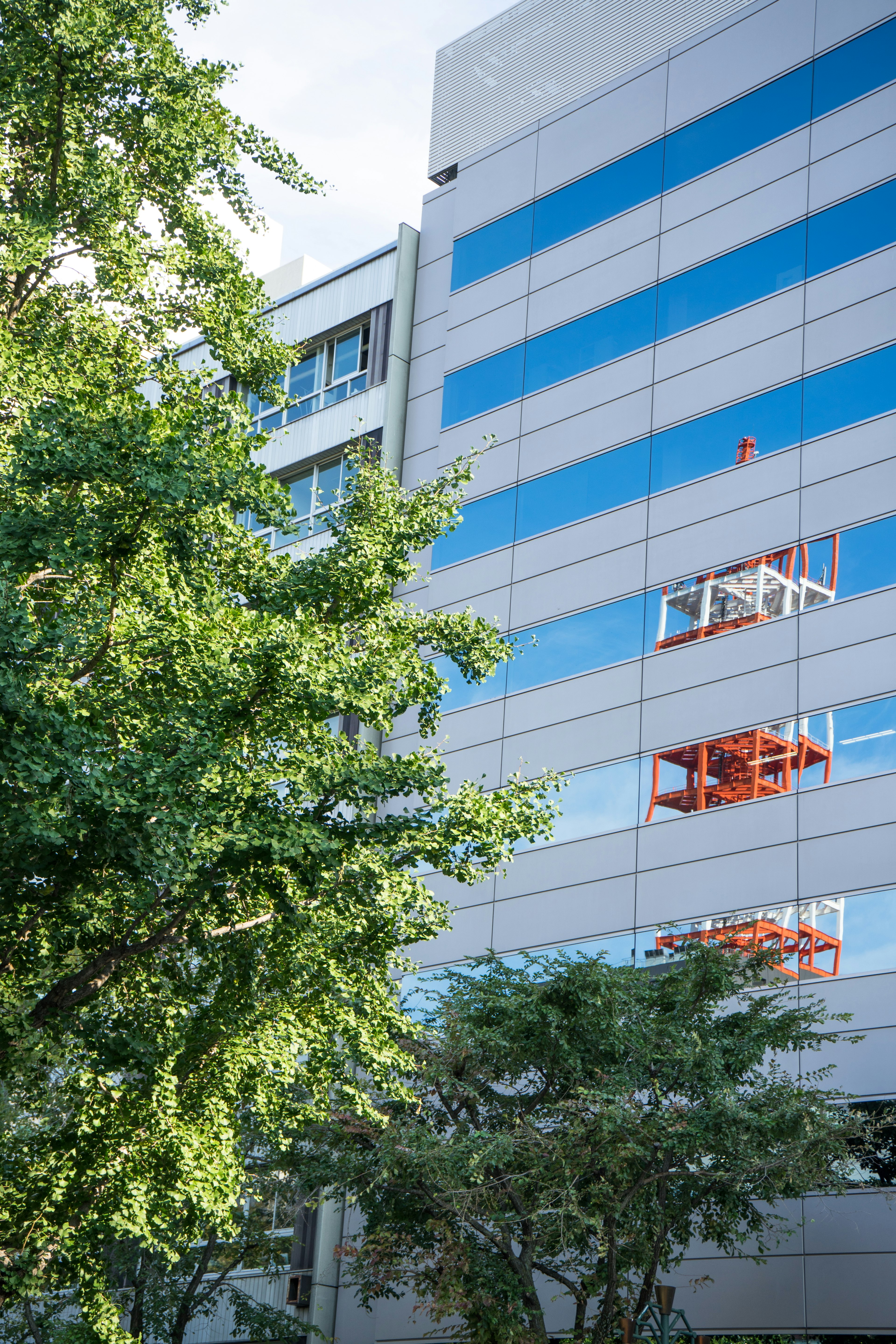 Edificio moderno con strisce blu e bianche e alberi verdi in primo piano