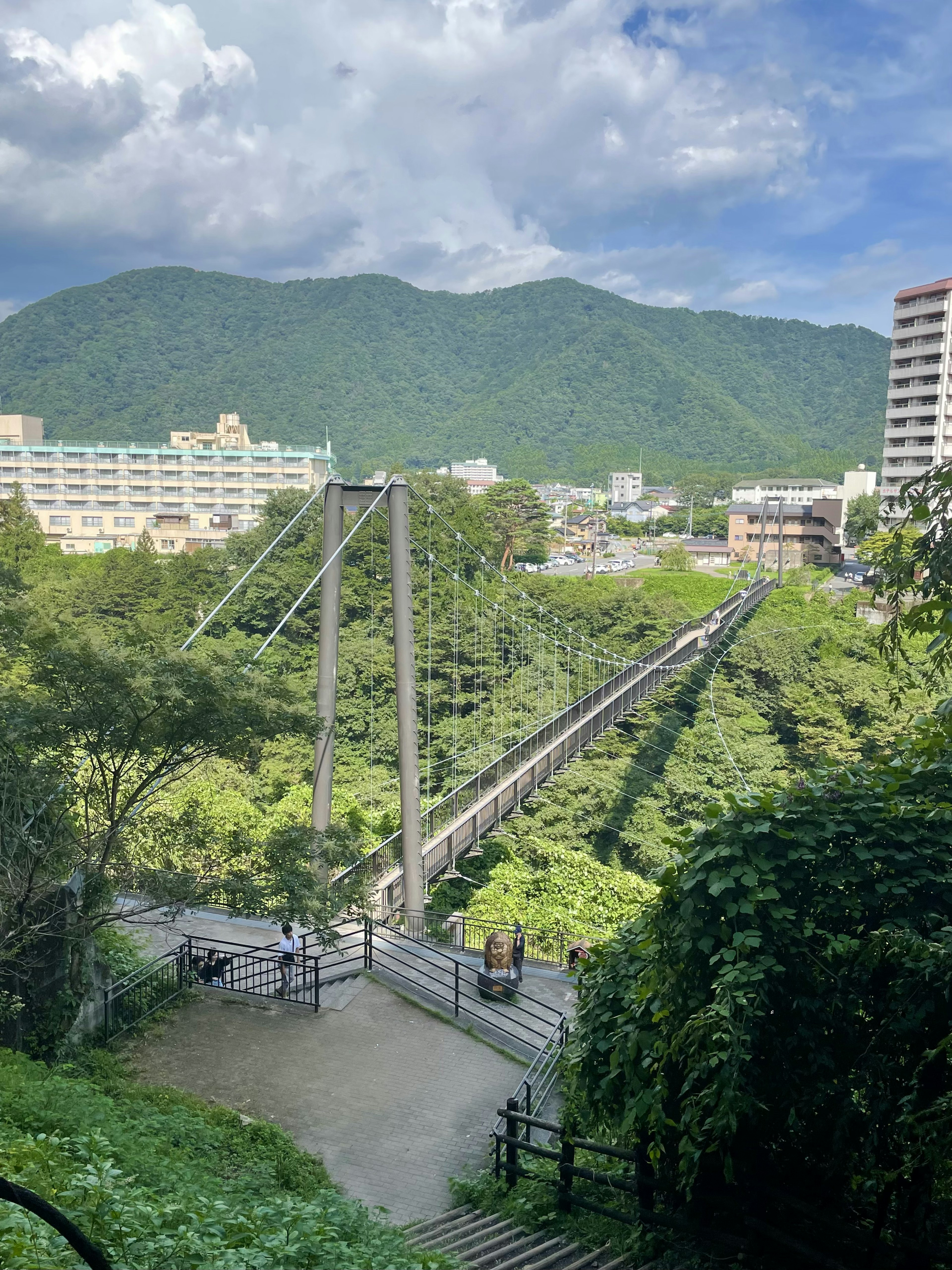 緑に囲まれた吊り橋と山々の風景