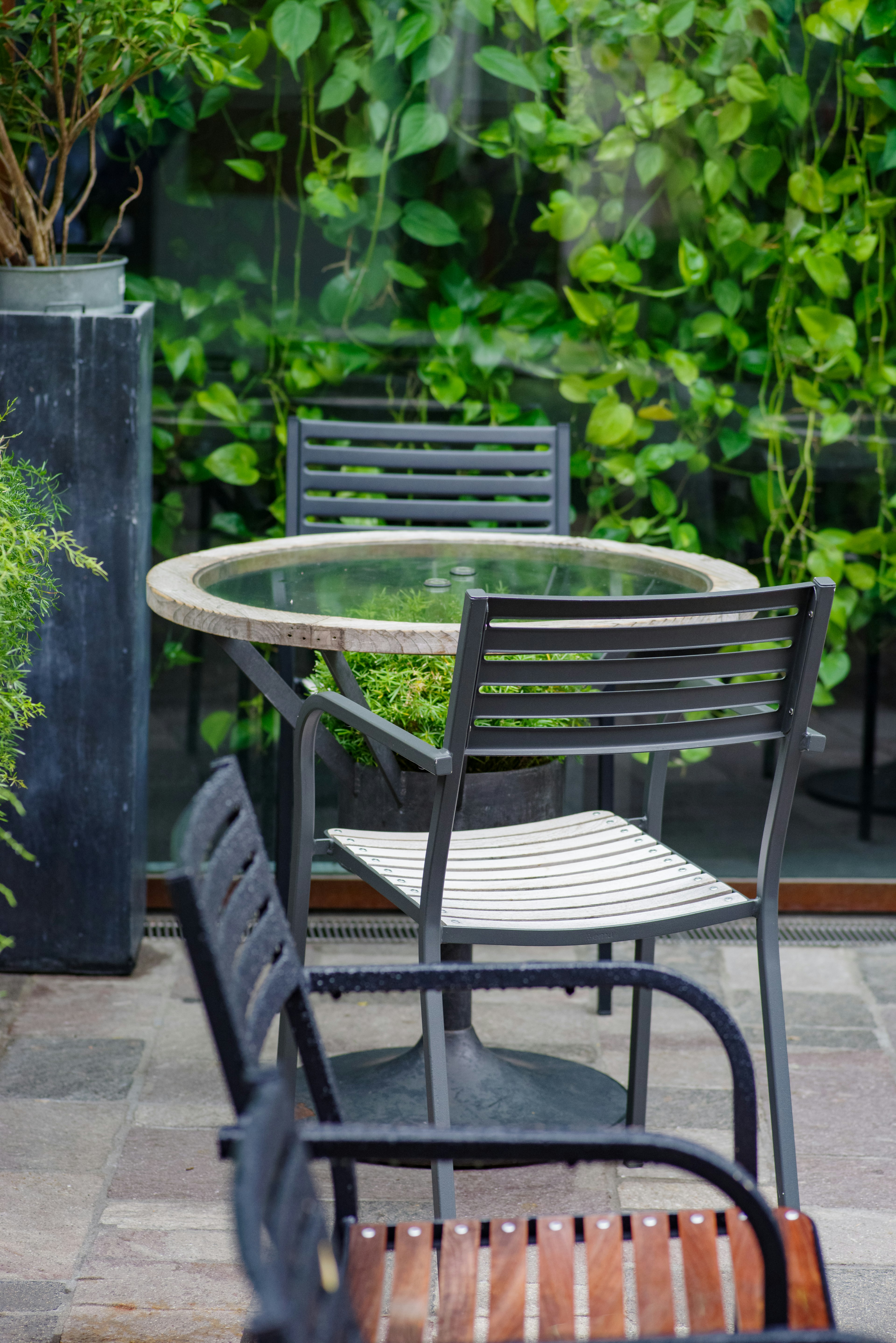 Outdoor table and chairs with lush green background