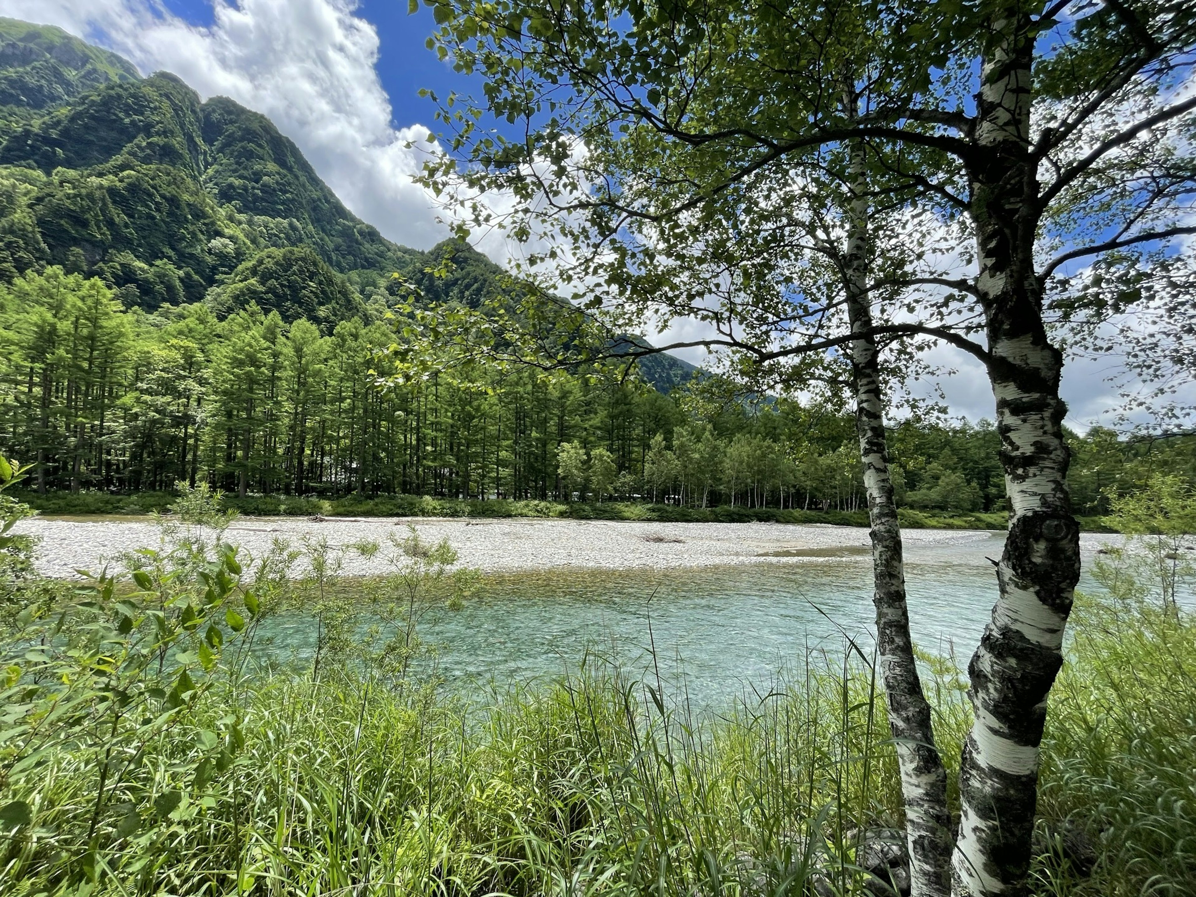 Vista escénica de un río rodeado de árboles verdes exuberantes y montañas