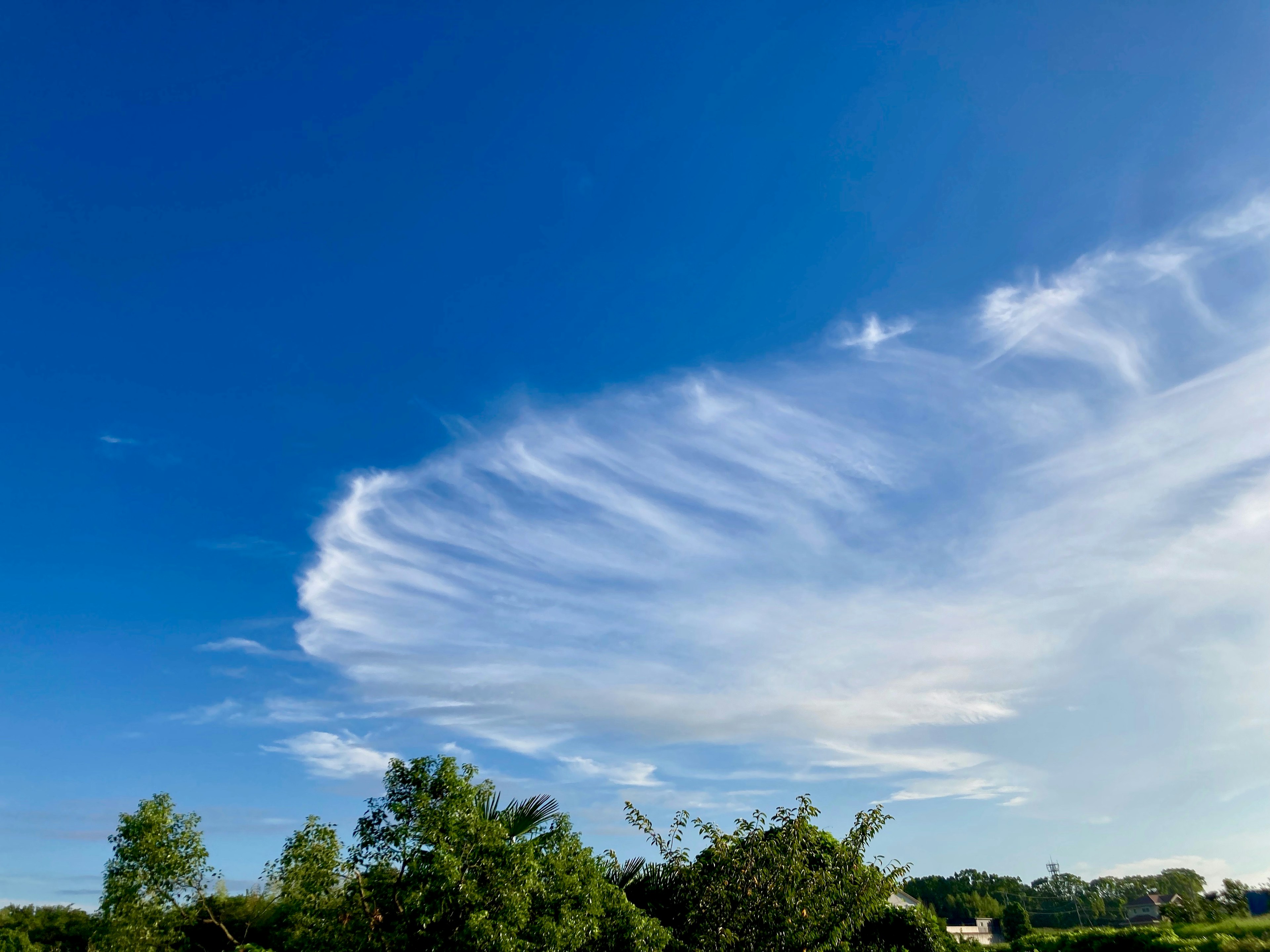 Unique cloud formation against a blue sky with green trees below