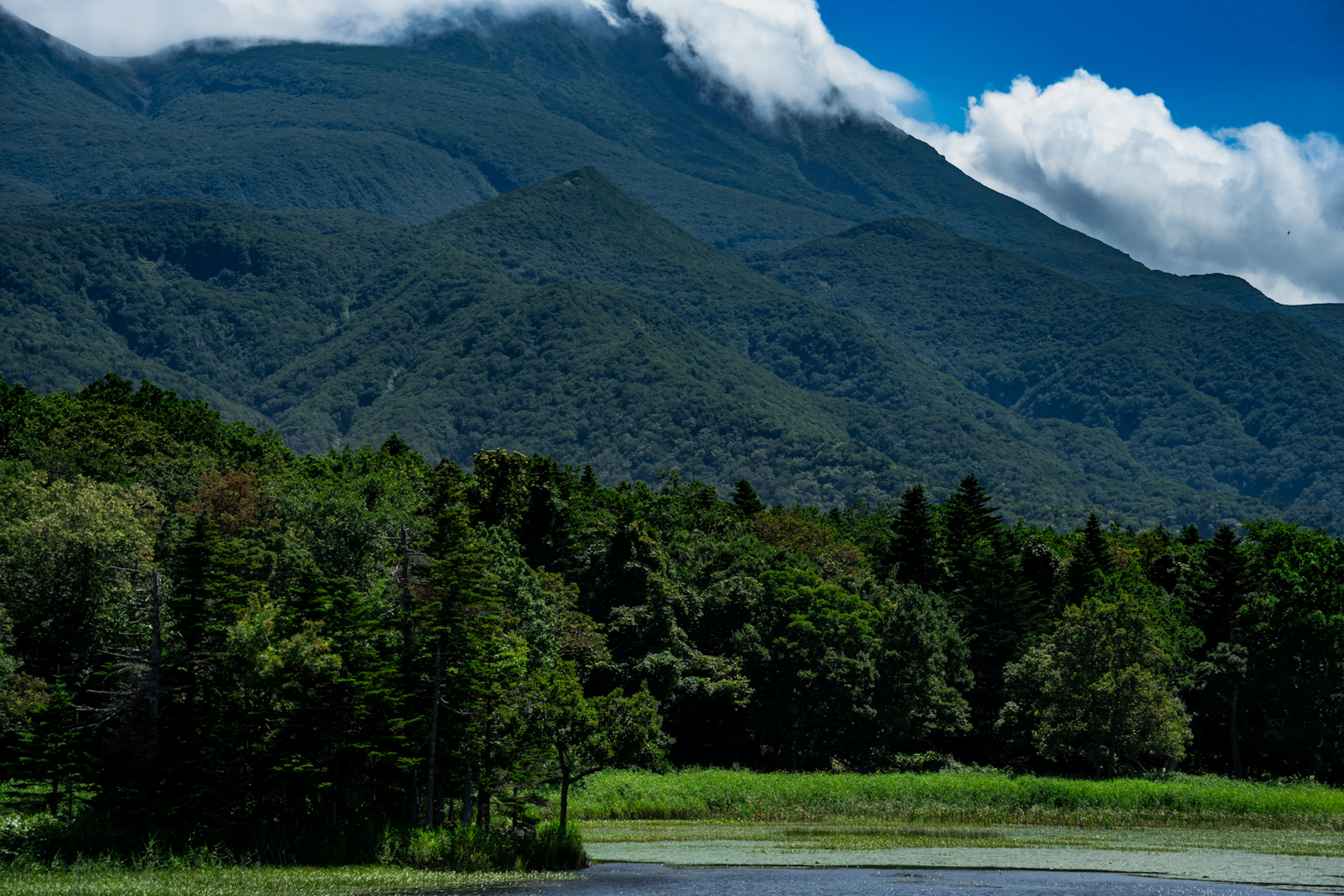 緑豊かな森林と青い空を背景にした山の風景