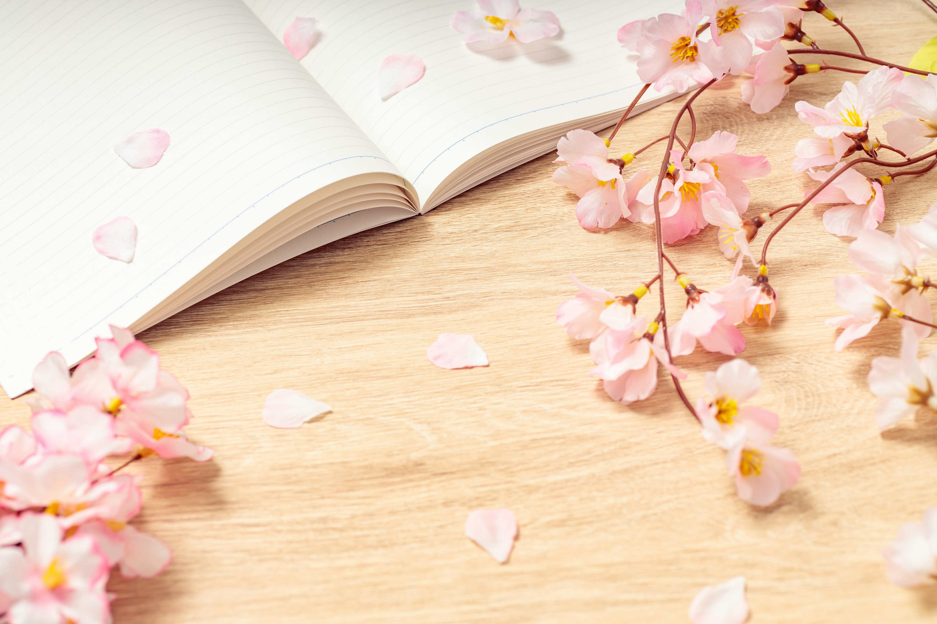 Open notebook on a wooden table surrounded by pink cherry blossom petals