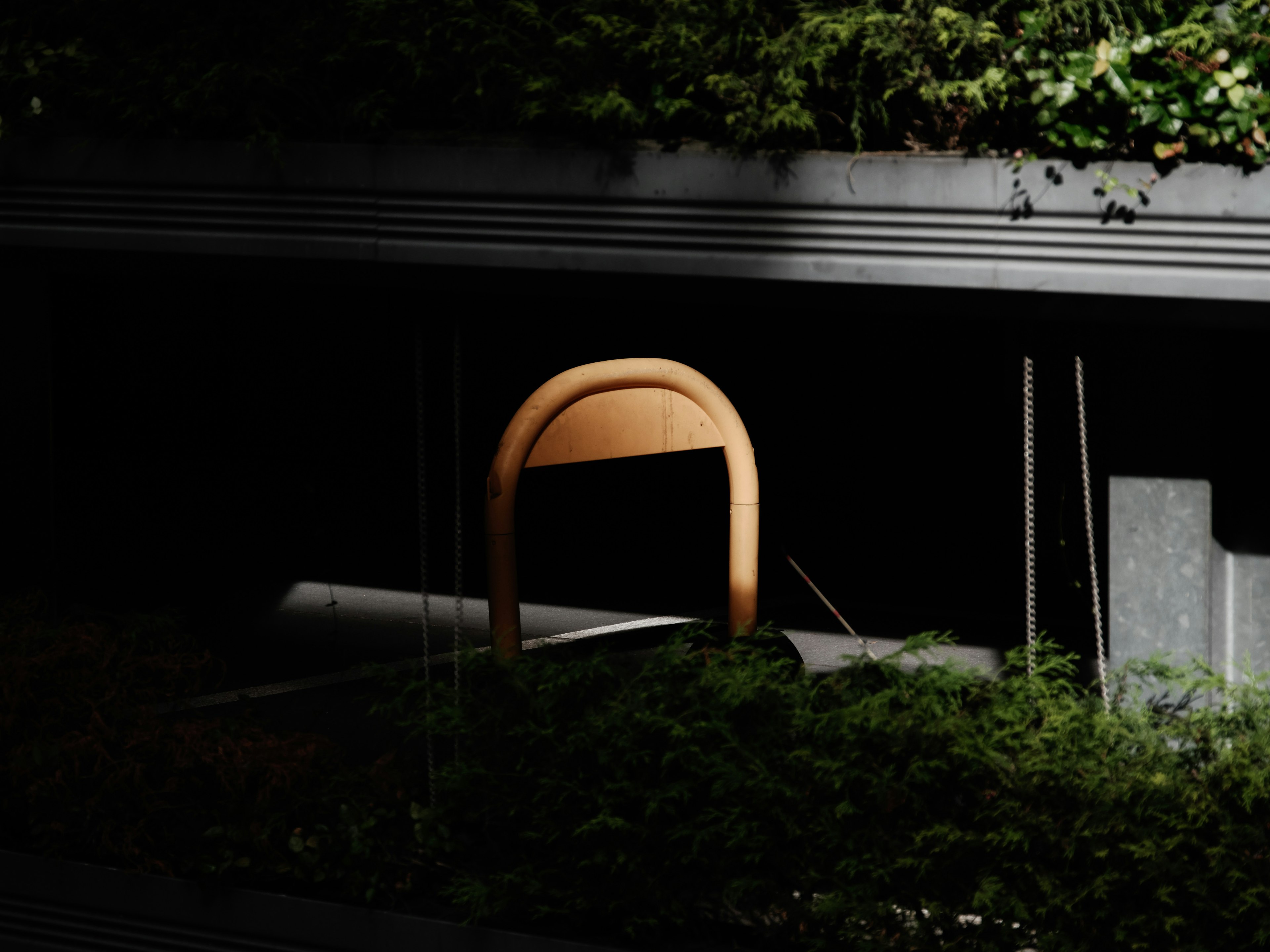 An orange chair illuminated against a dark background with green foliage