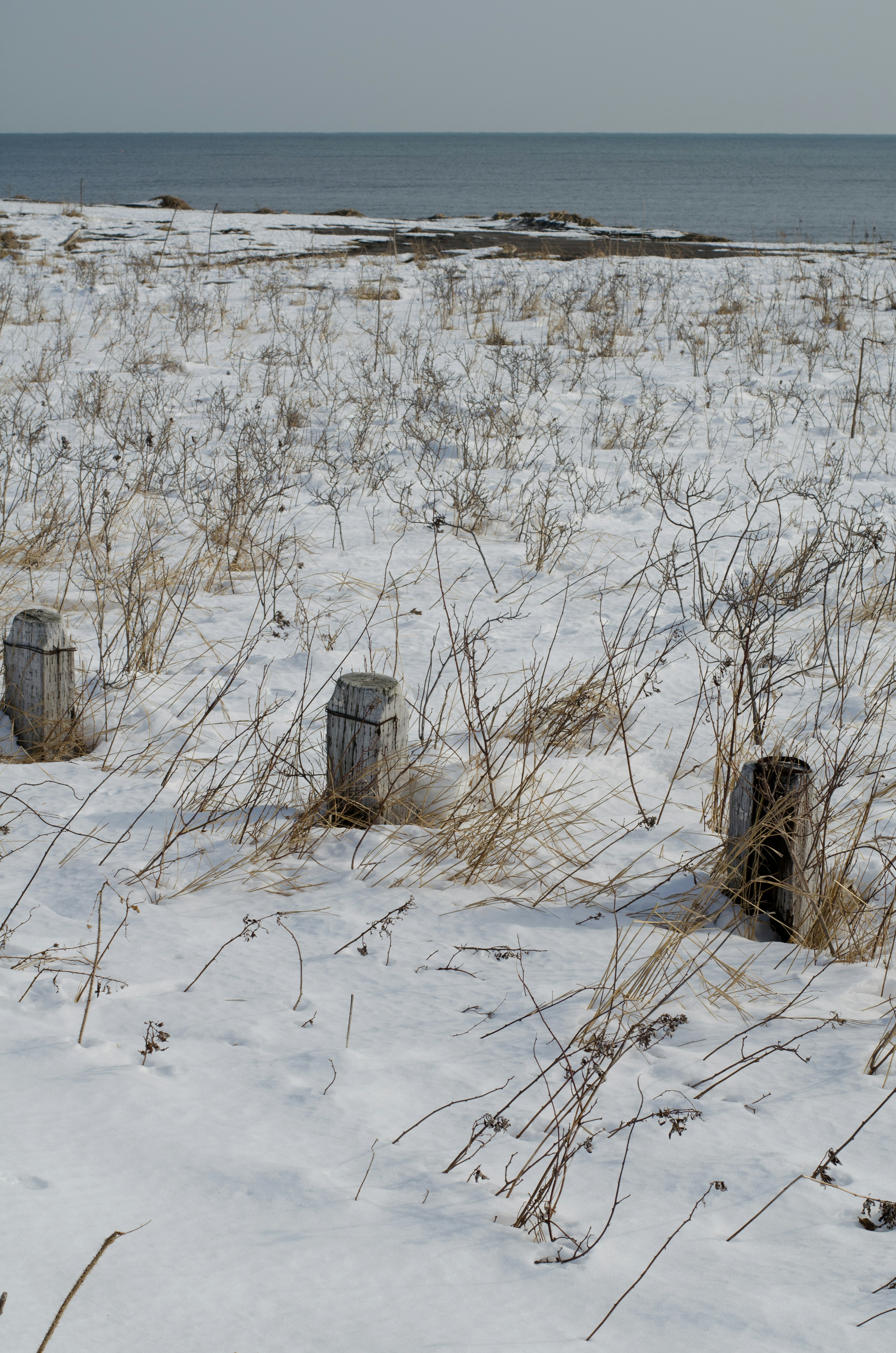 Paesaggio di spiaggia innevata con vecchi pali di legno