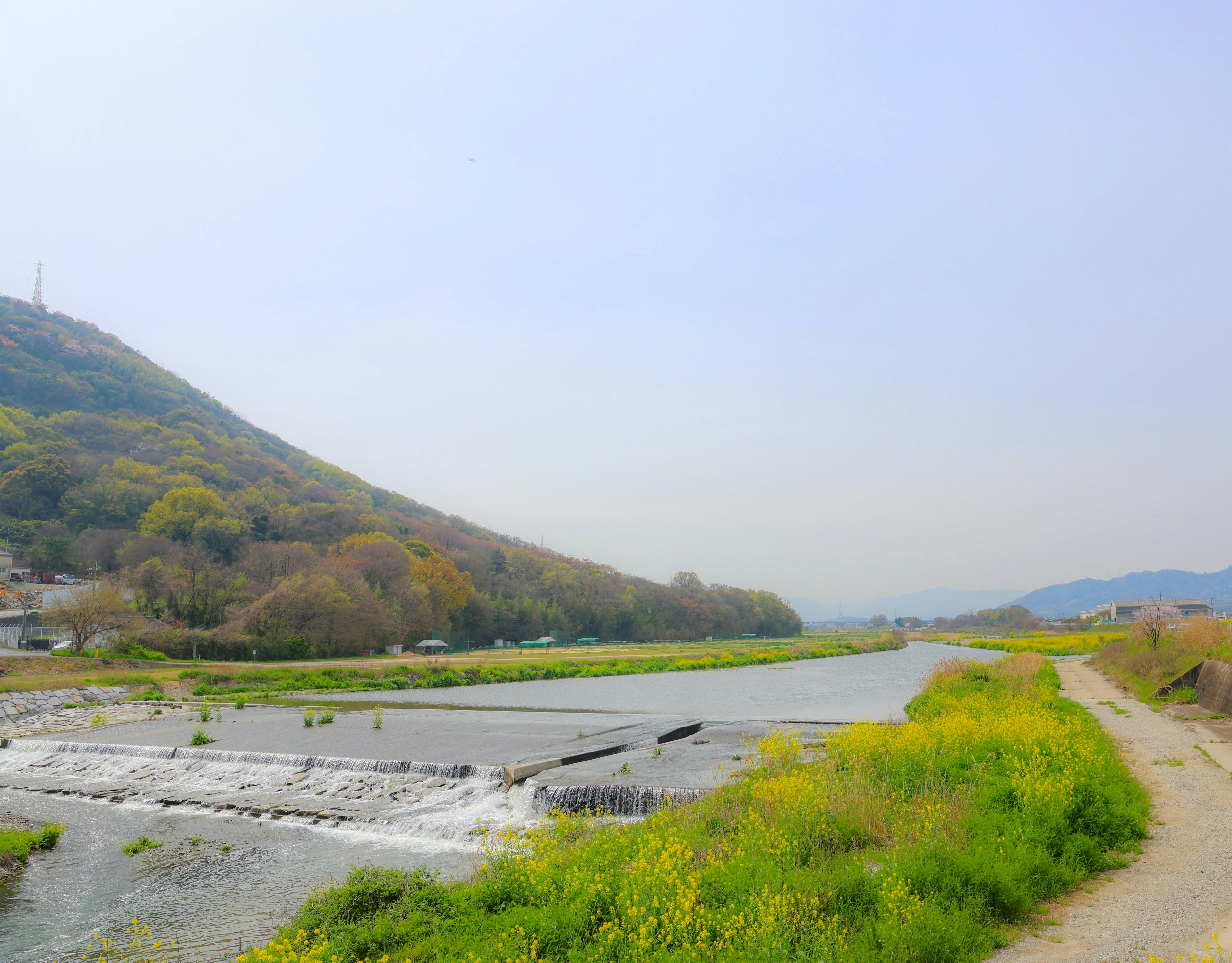 Vue panoramique d'une rivière avec des fleurs jaunes et une montagne