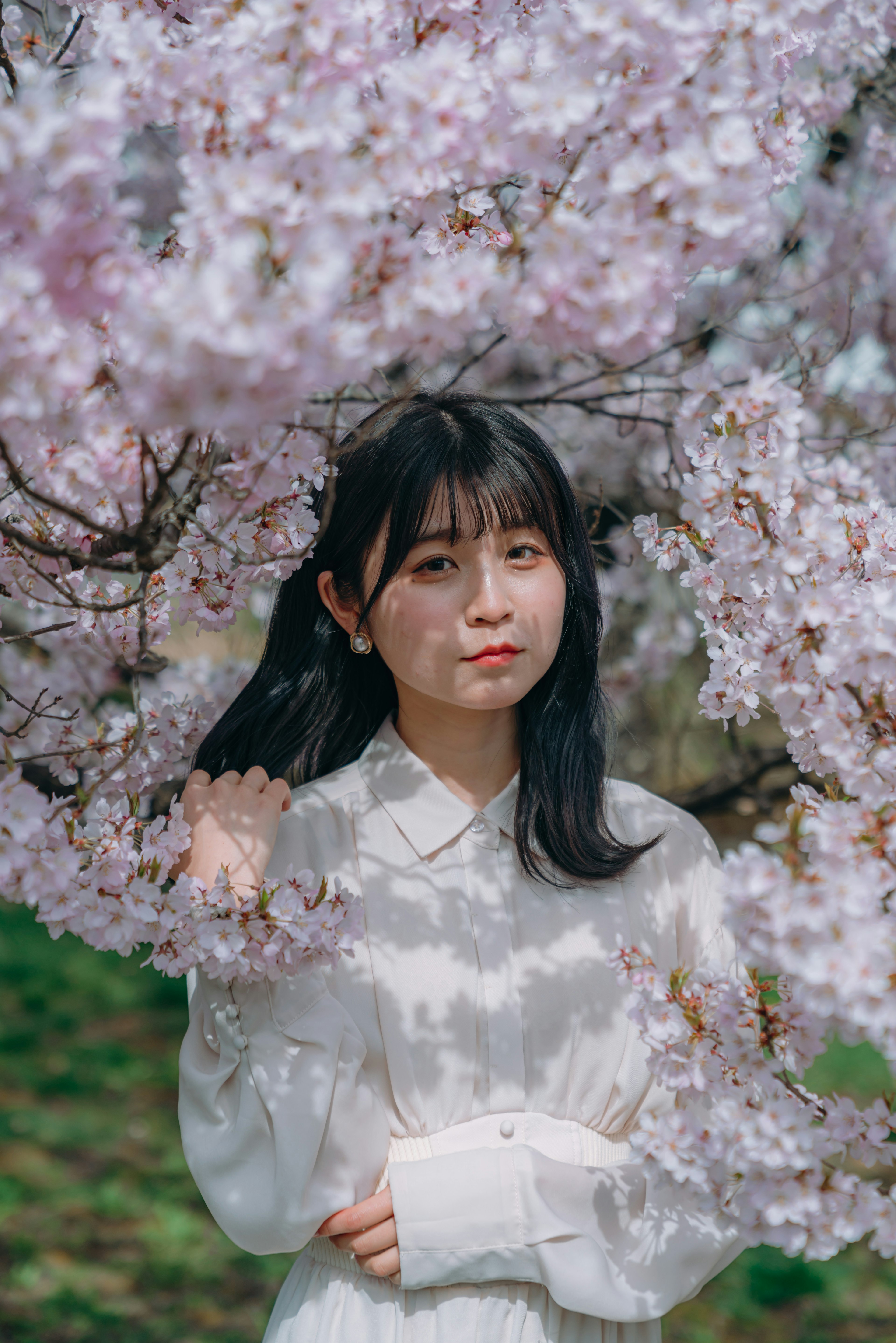 桜の花の下に立つ女性のポートレート