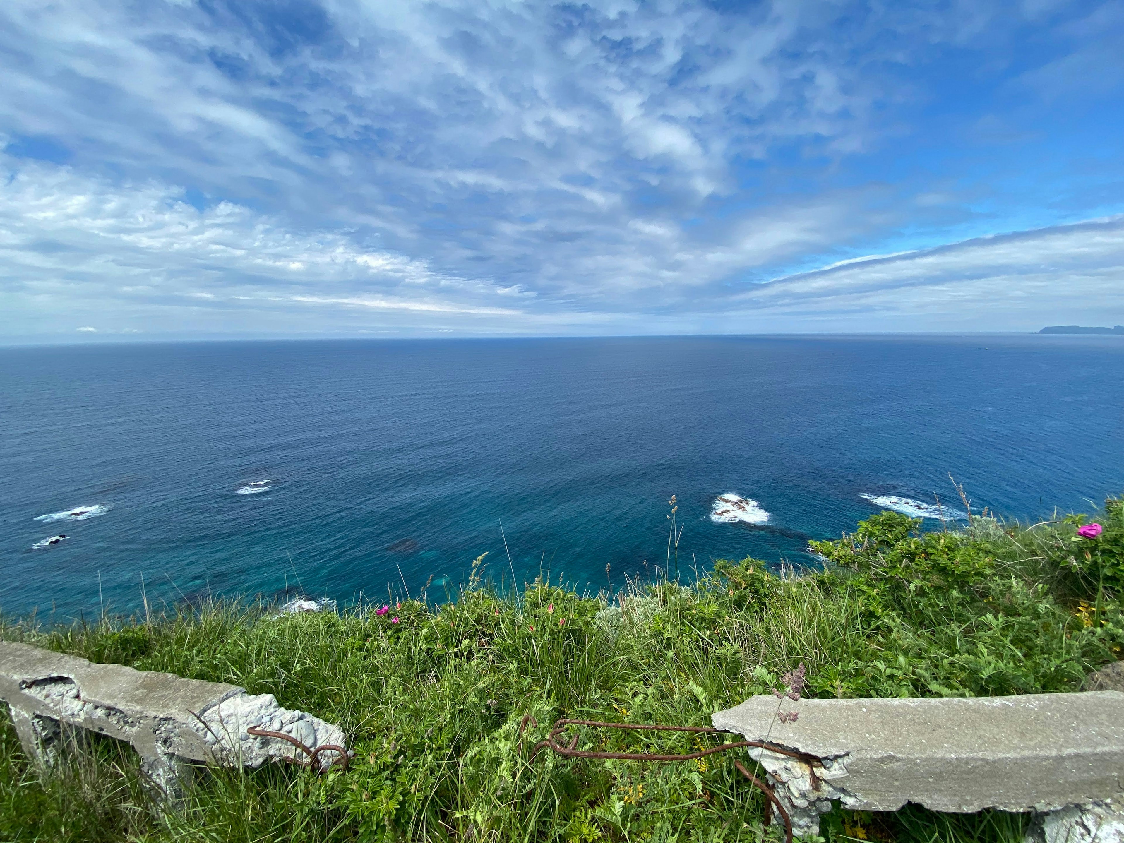 Vista bellissima del mare e del cielo blu da una scogliera con erba e fiori lussureggianti