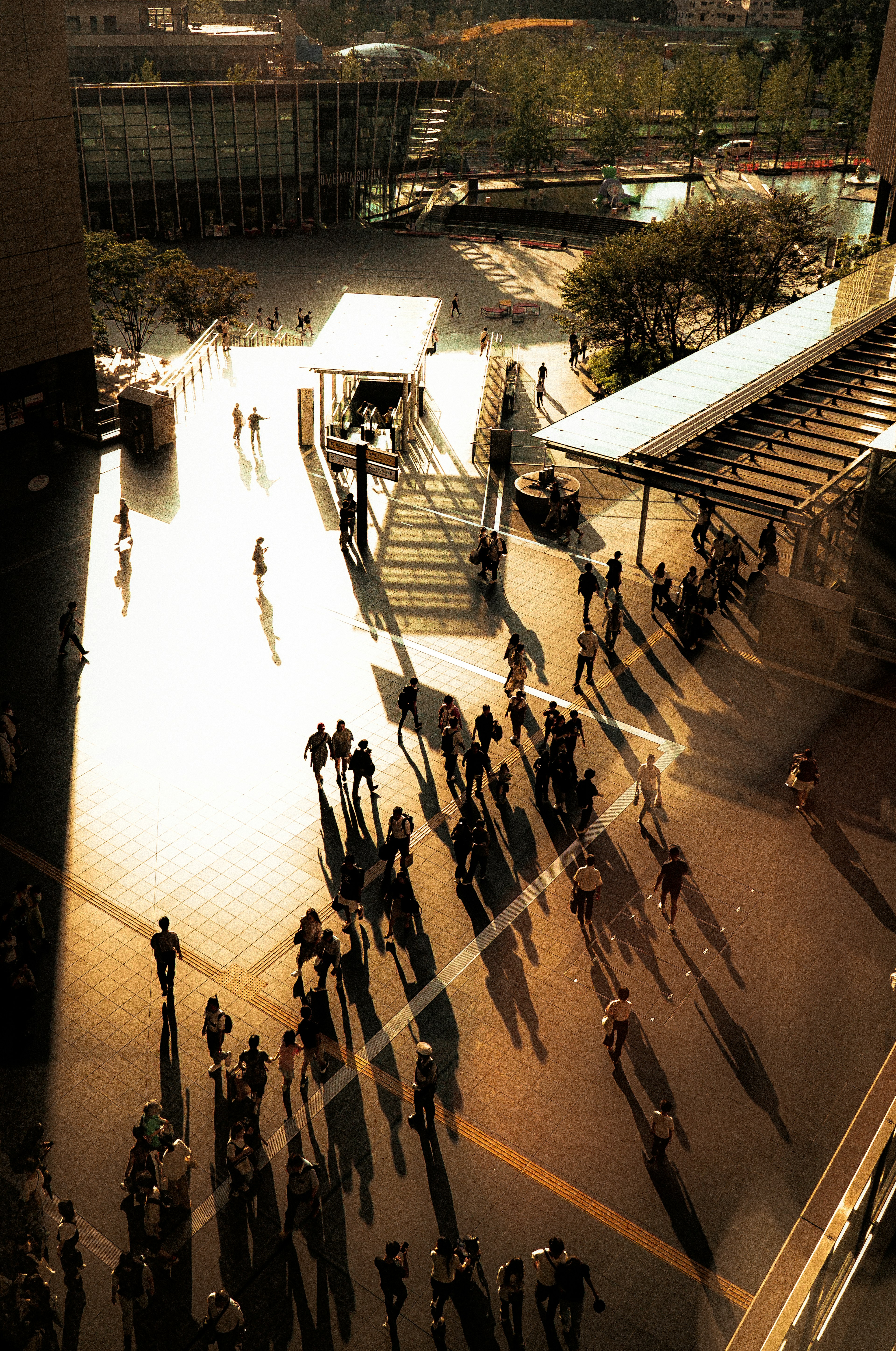 A bustling urban square with people casting long shadows