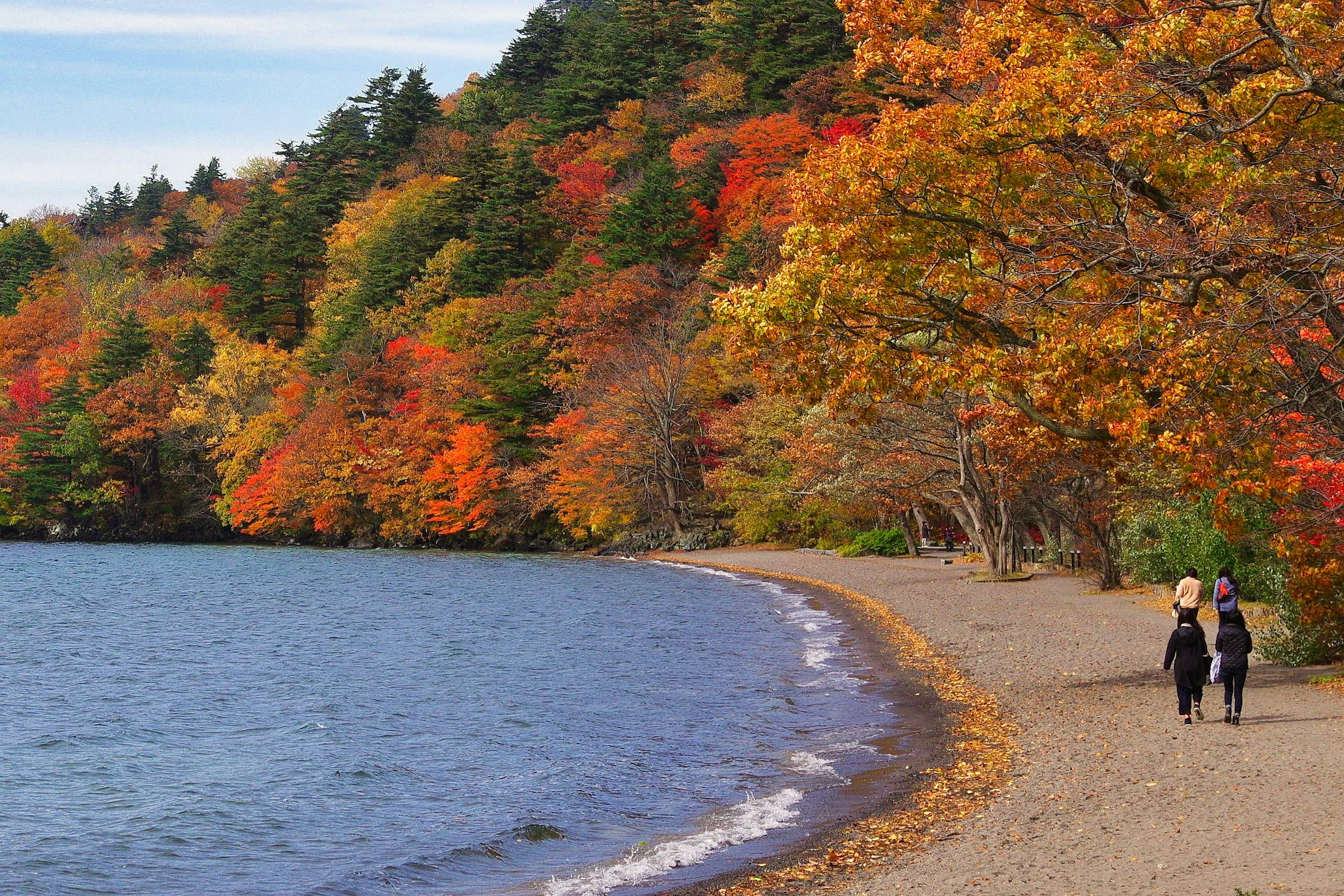 Due persone che camminano lungo una spiaggia sabbiosa con alberi autunnali colorati