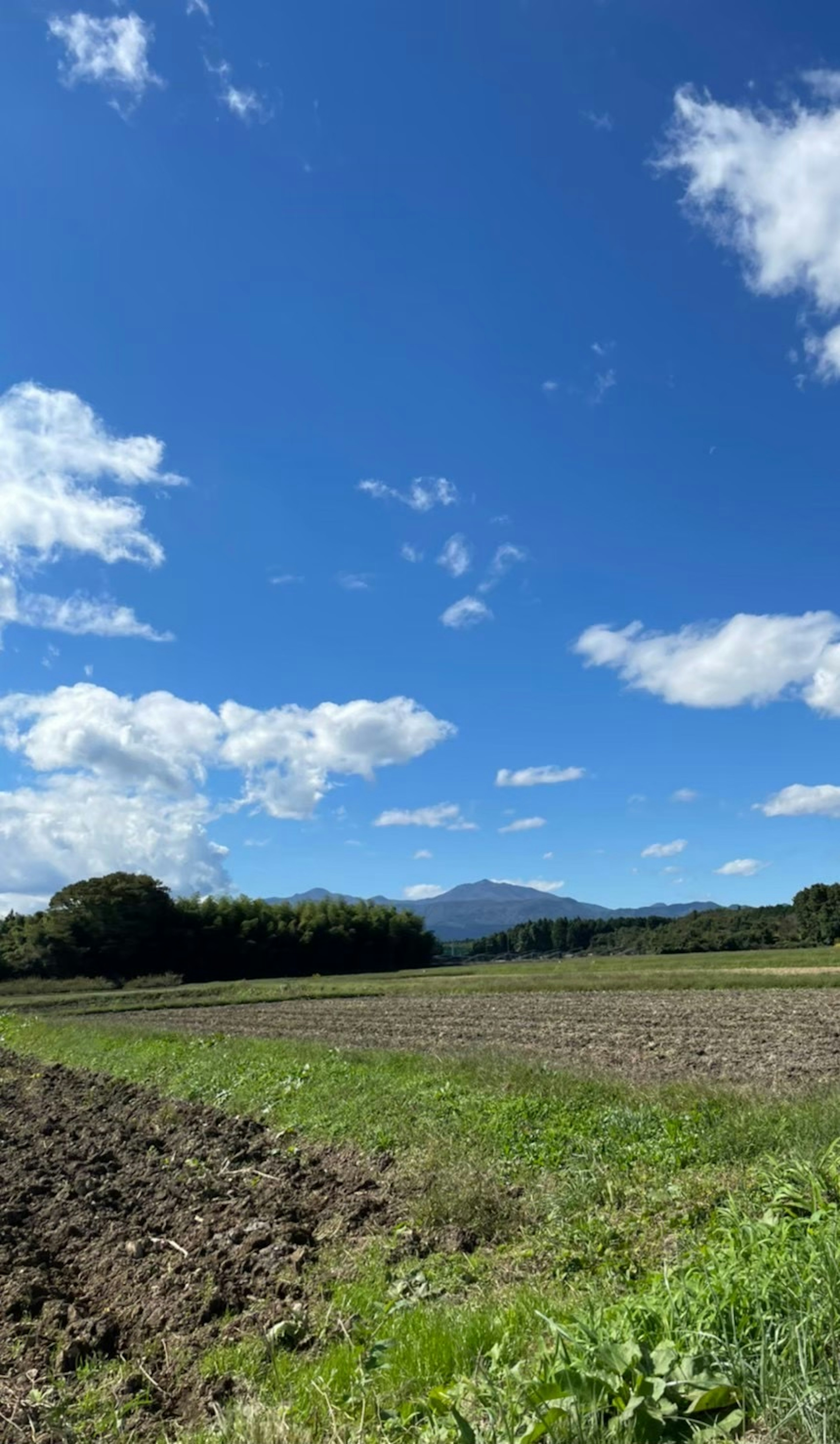 青空と白い雲が広がる風景に、緑の畑と遠くの山が見える