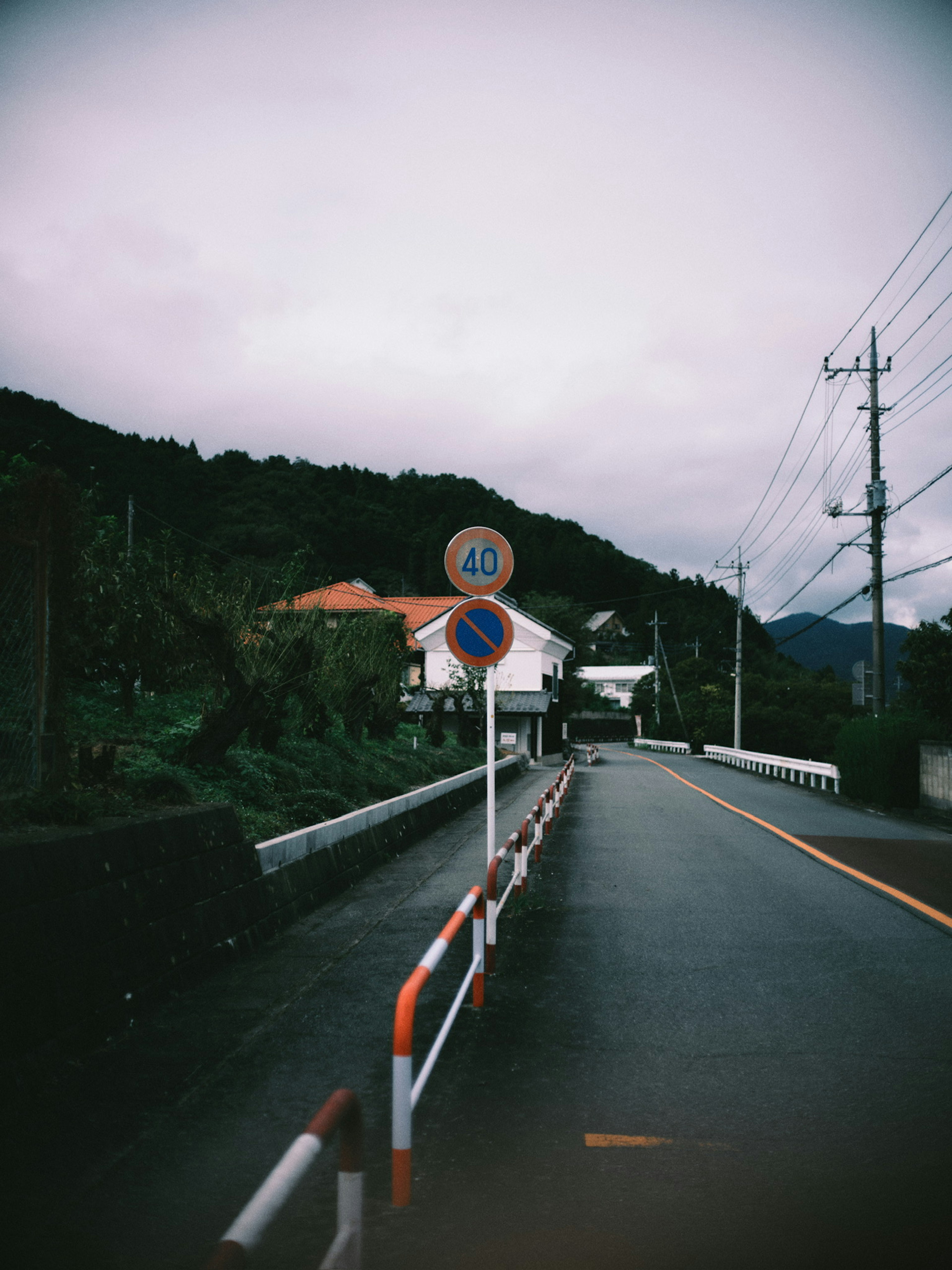 Panneau de signalisation sur une route de montagne avec verdure environnante