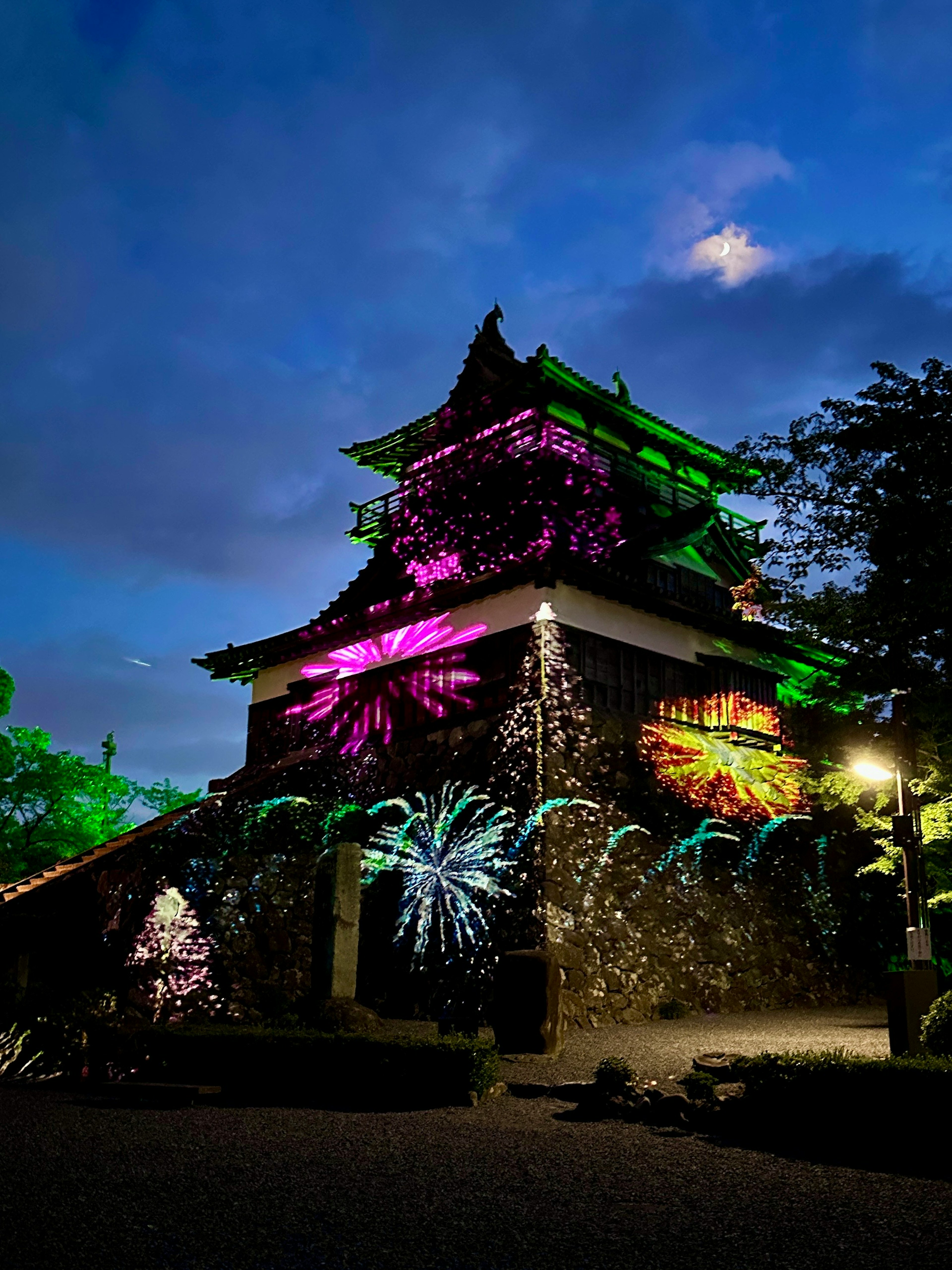 Castillo histórico iluminado con luces coloridas de noche