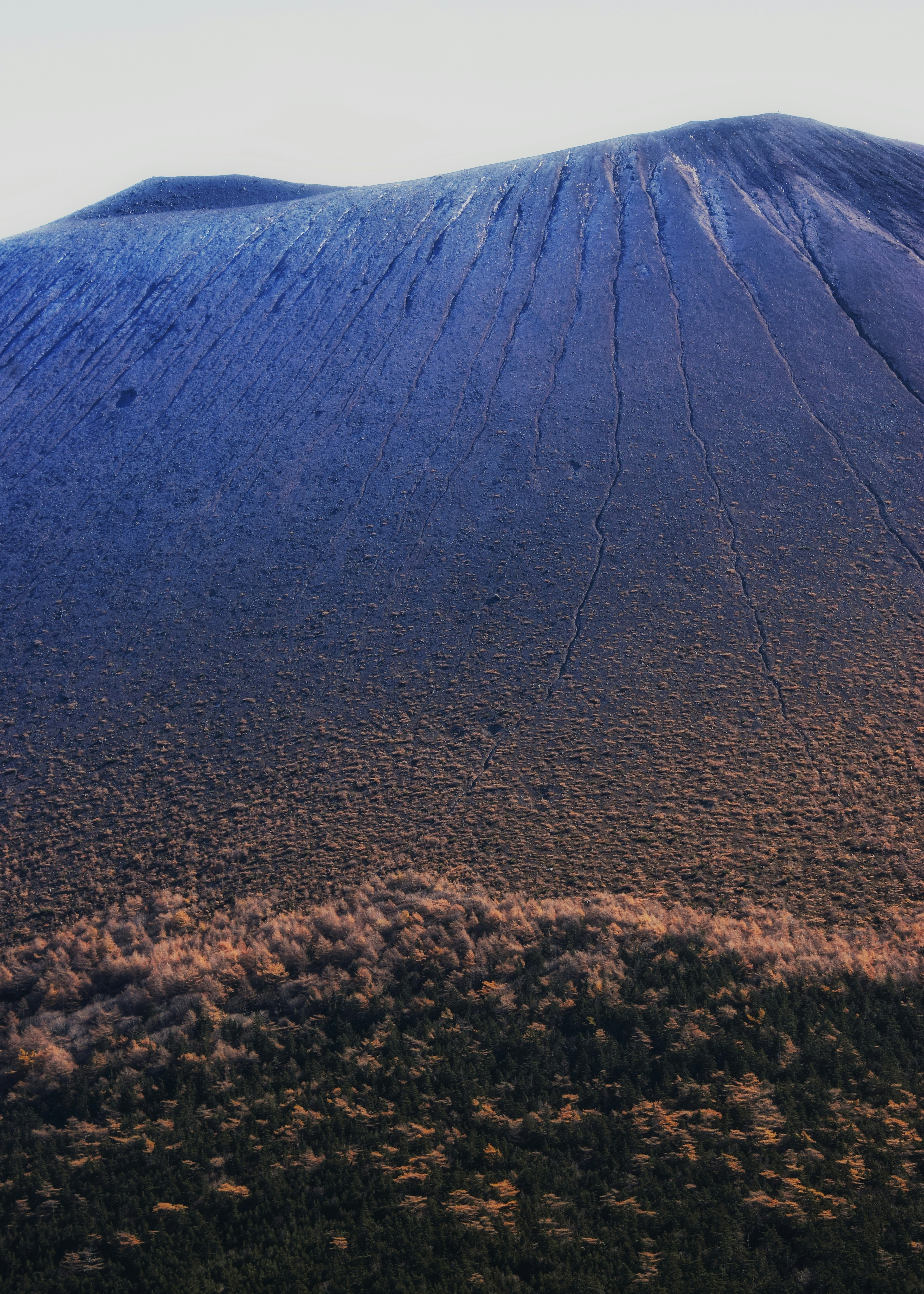 Pendio di montagna blu con paesaggio forestale