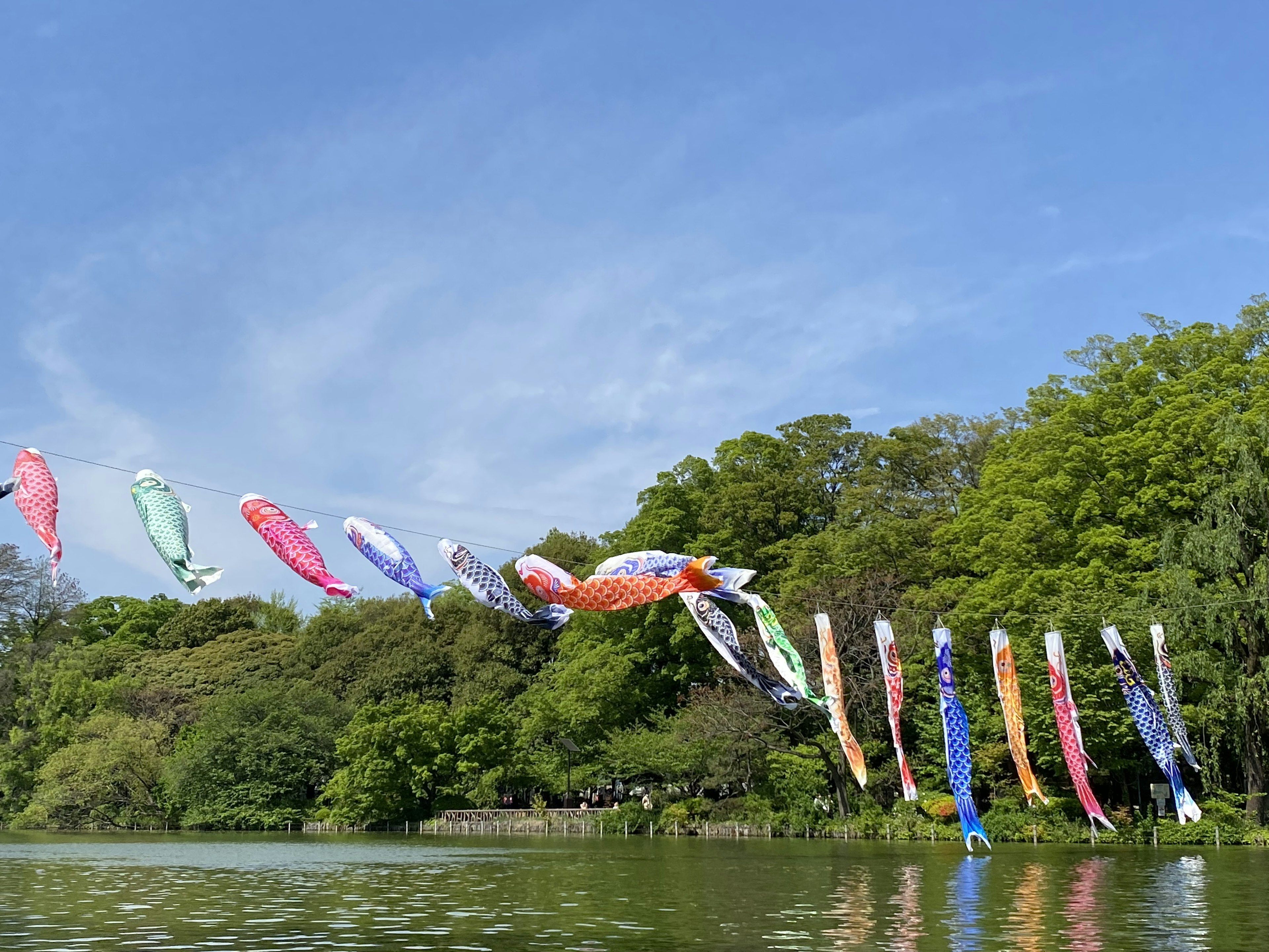 Colorful koi nobori flags fluttering over a lake