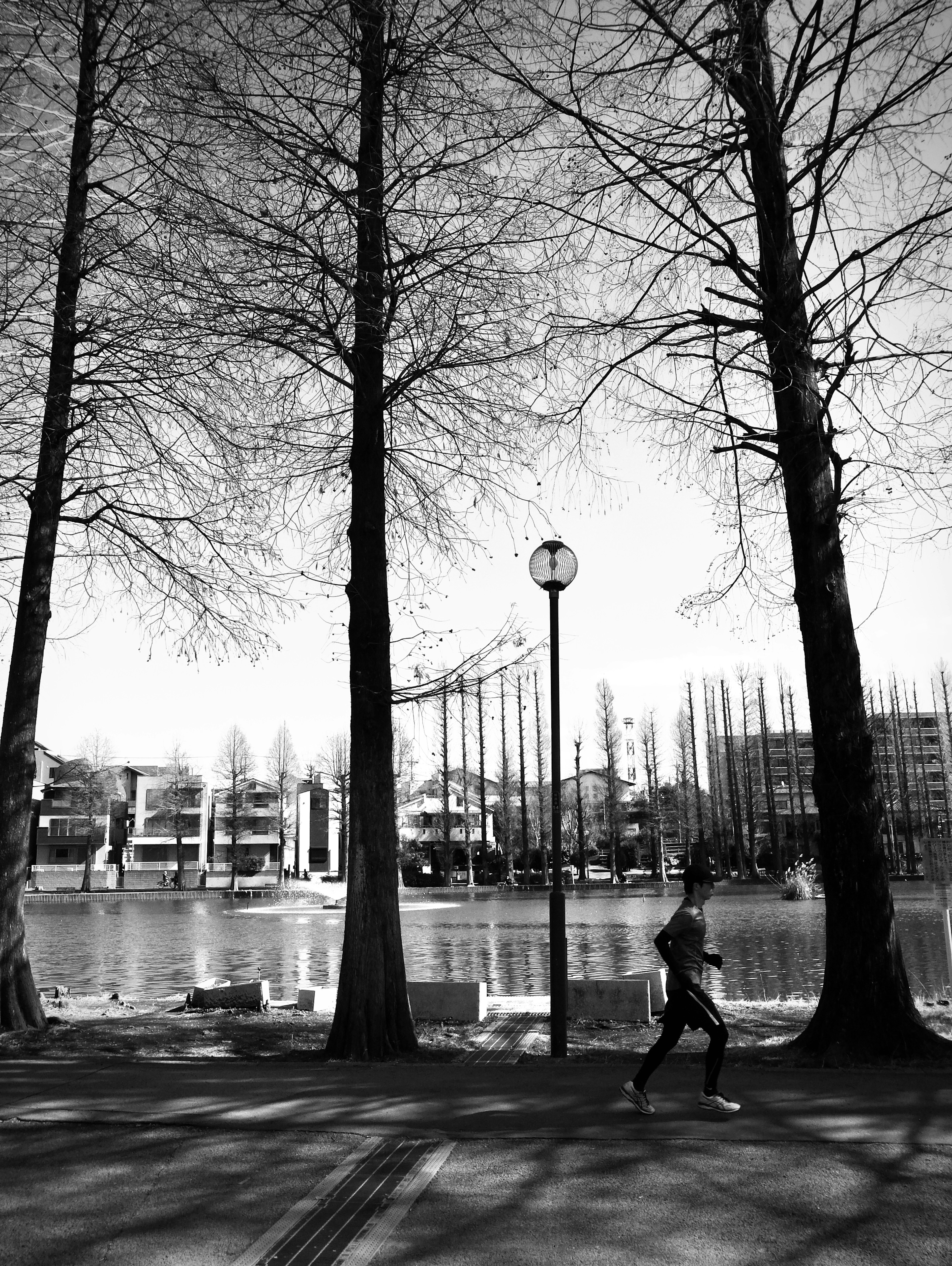 Person joggt auf einem Parkweg mit Silhouetten von Bäumen und Wasser im Hintergrund