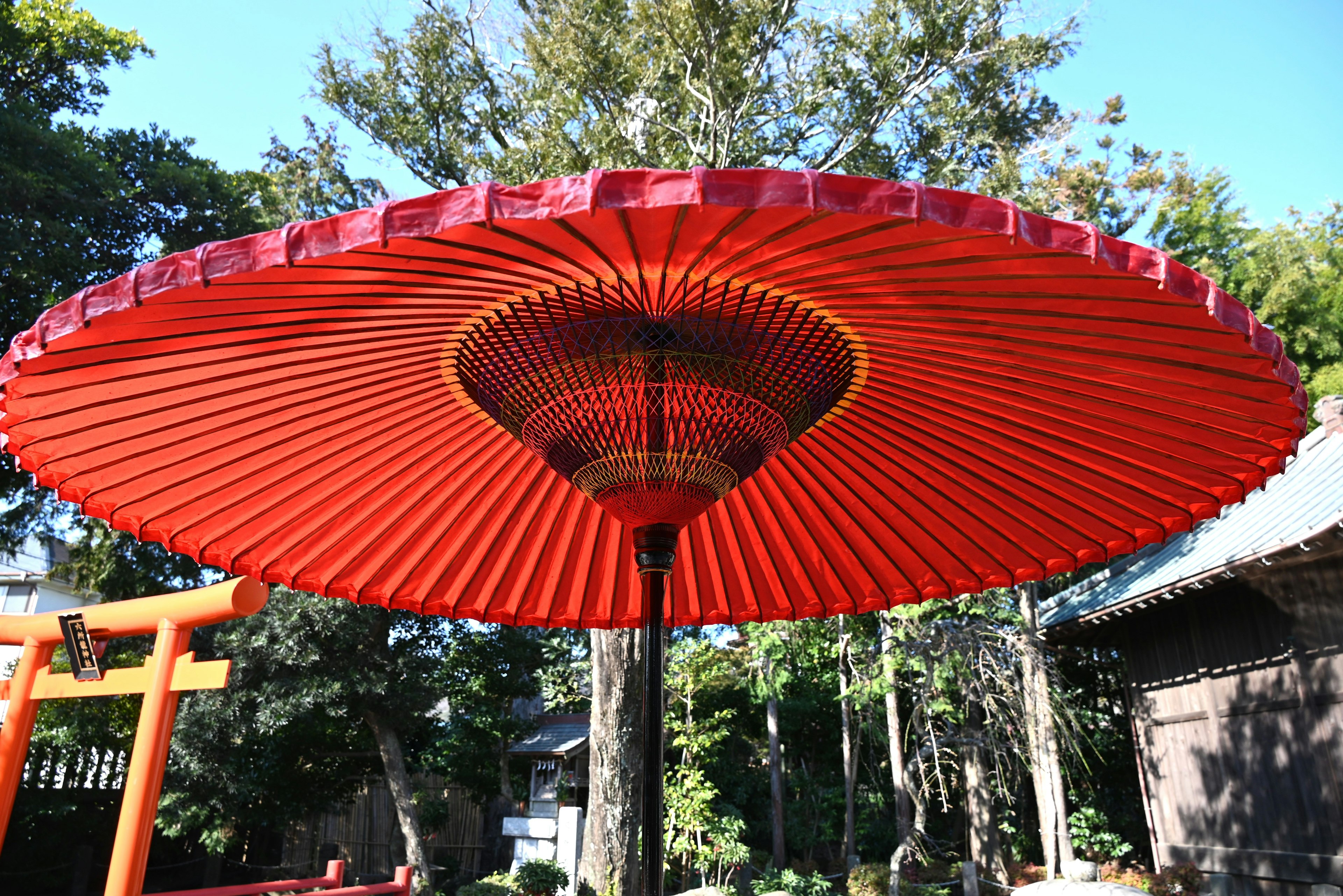 Un gran paraguas japonés rojo exhibido en un jardín con cielo azul y árboles verdes de fondo