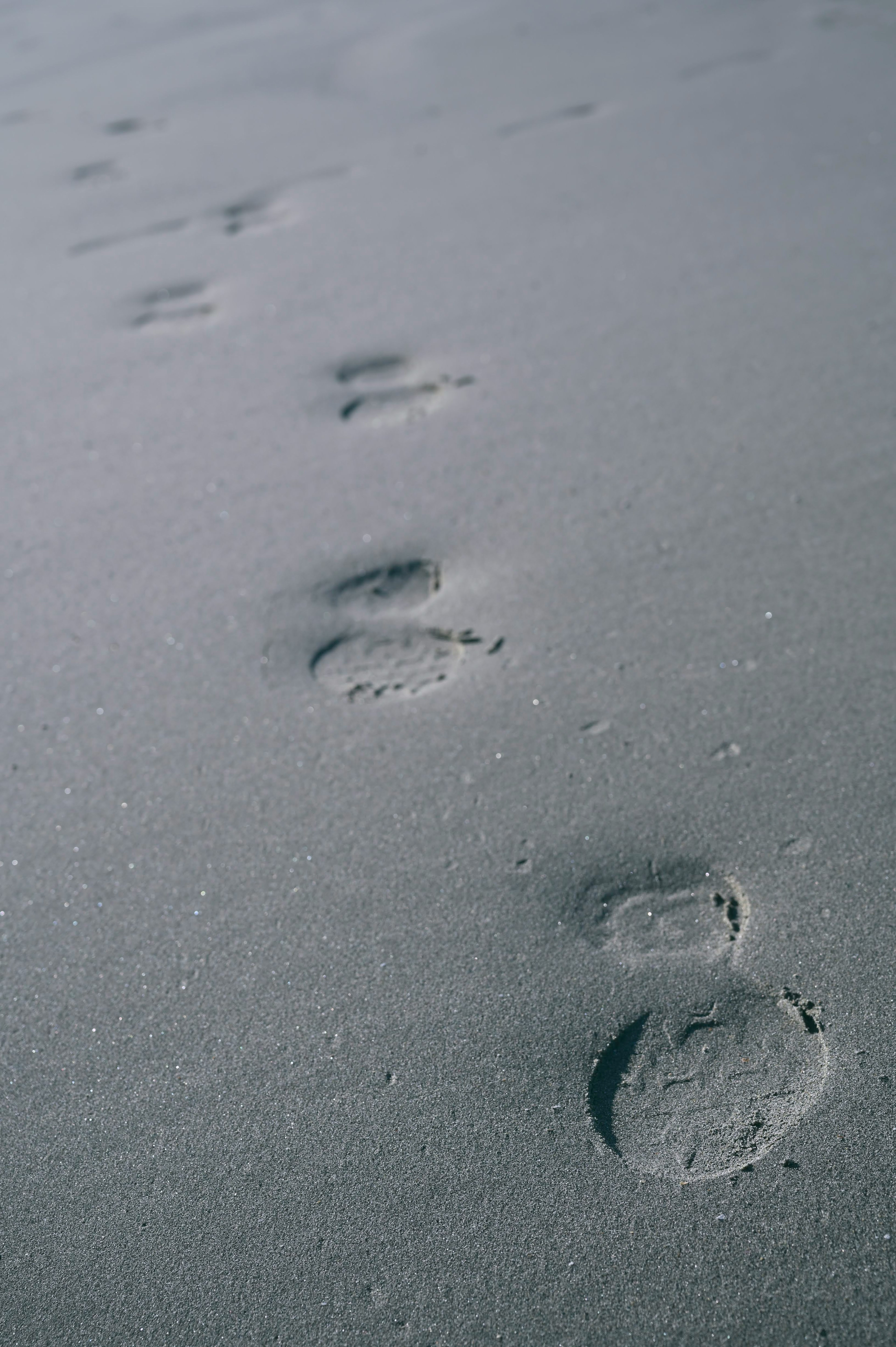 Nahaufnahme von Fußabdrücken am Sandstrand