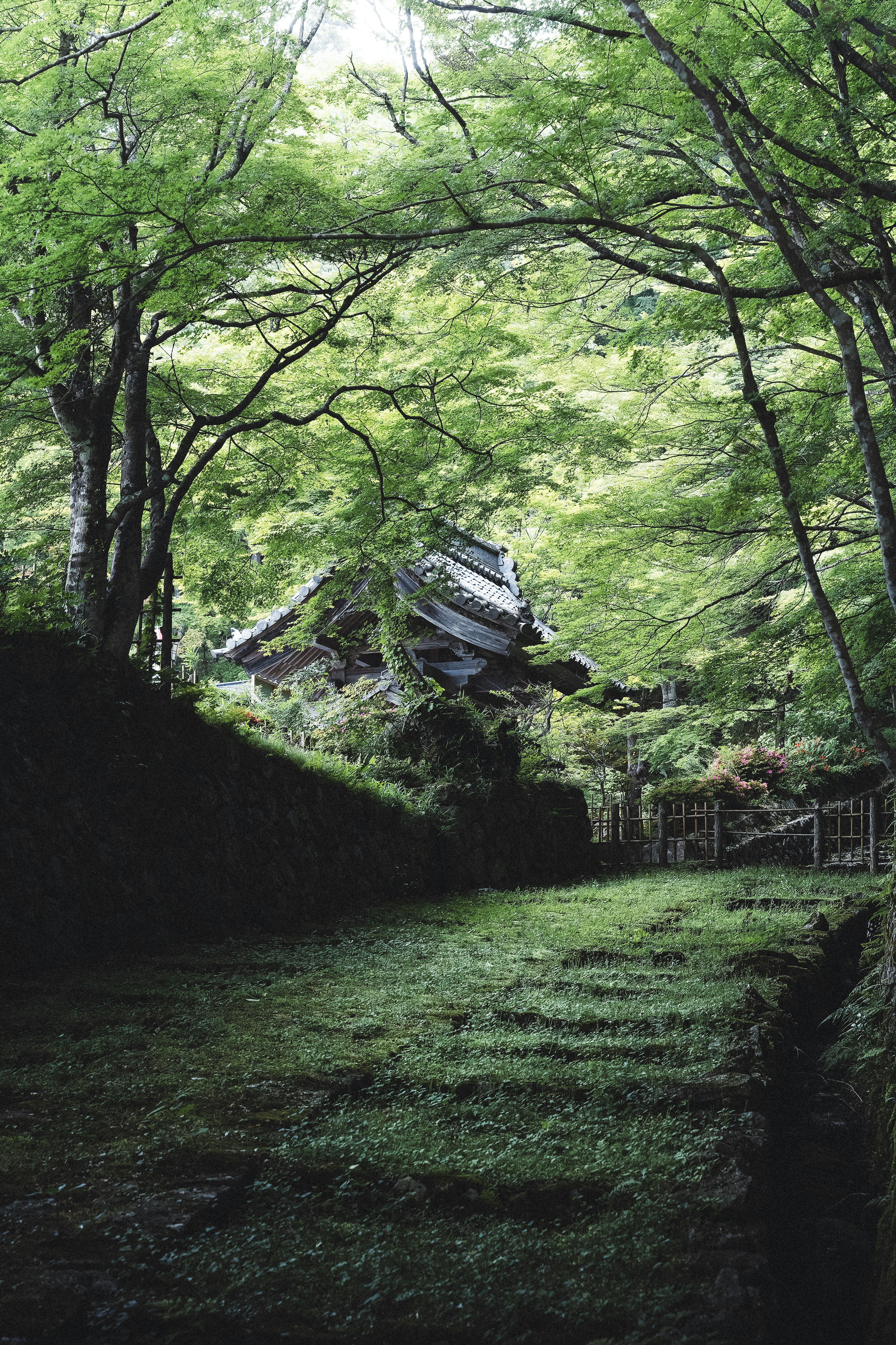 A pathway surrounded by green trees with remnants of a decayed structure